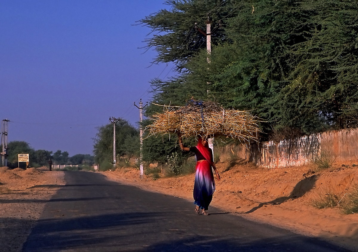 La lunga strada verso casa