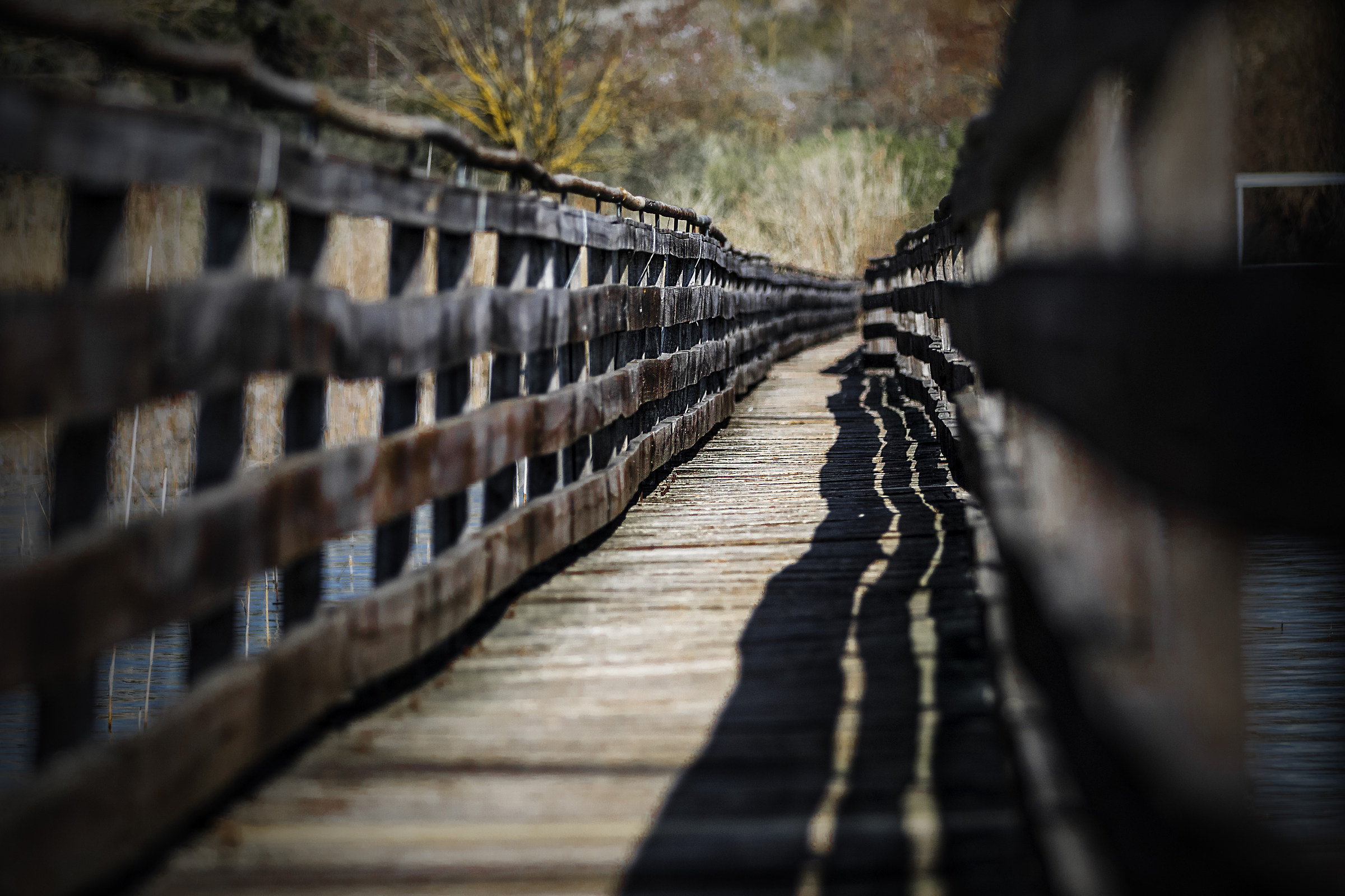 Lake Trasimeno / Italy.