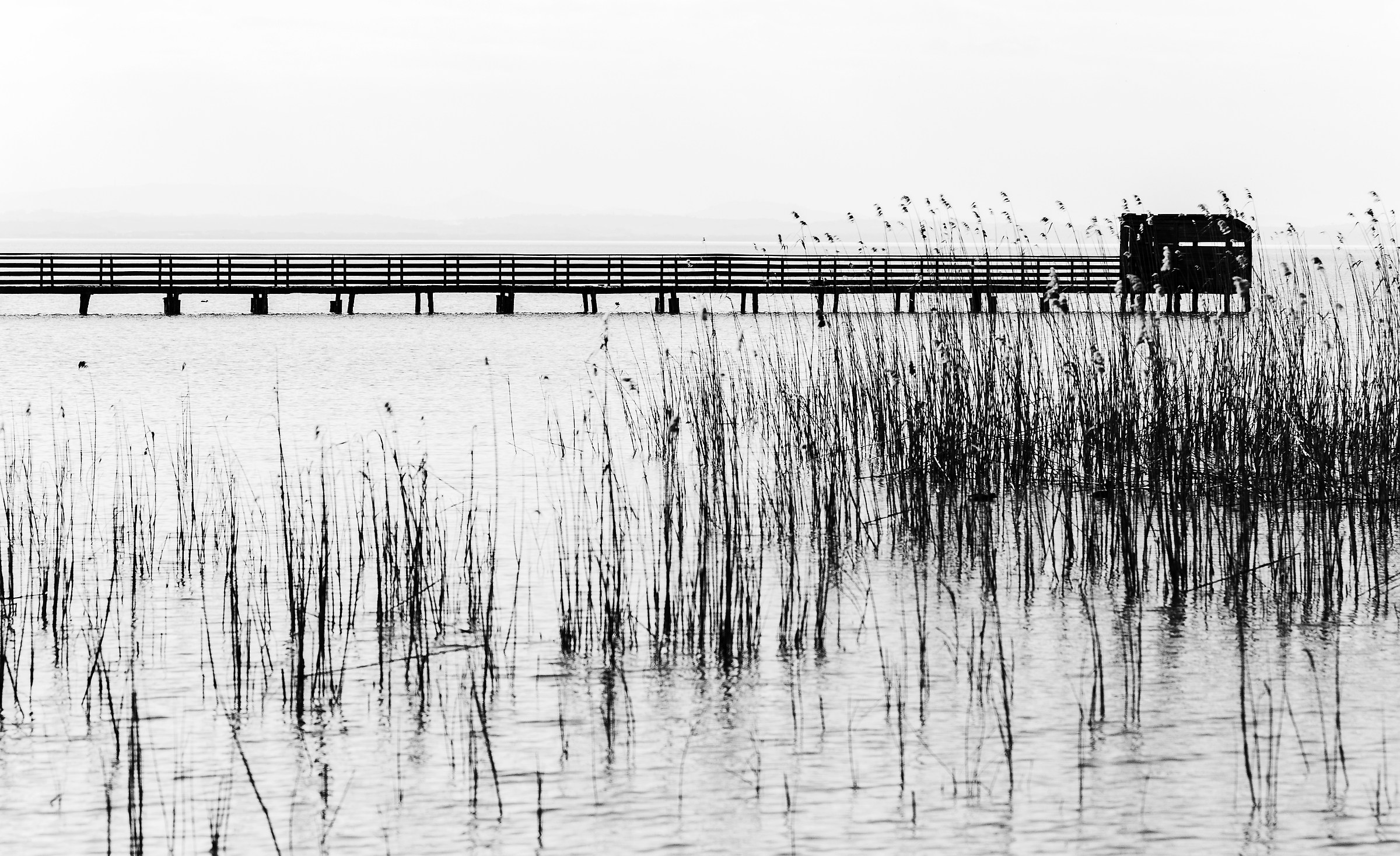 Lago Trasimeno/Italy.
