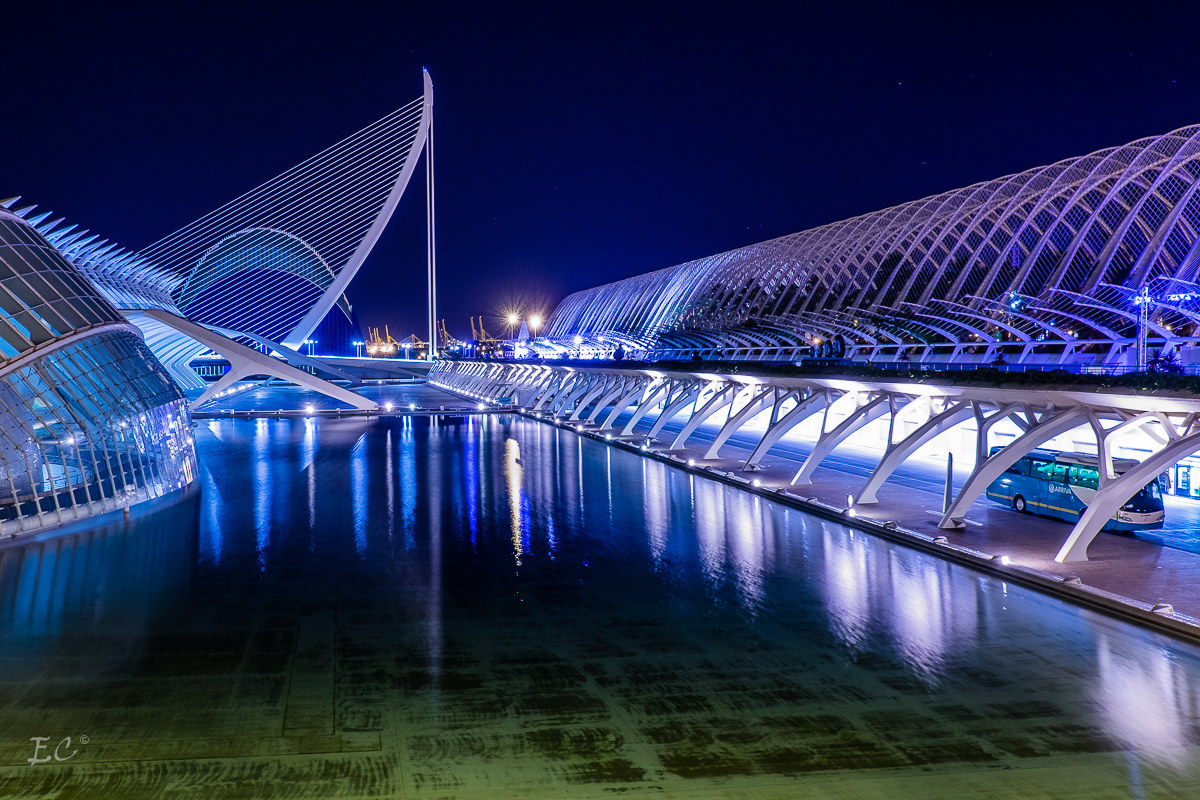 Ciudad Ciencias (Science City) 2 - Valencia