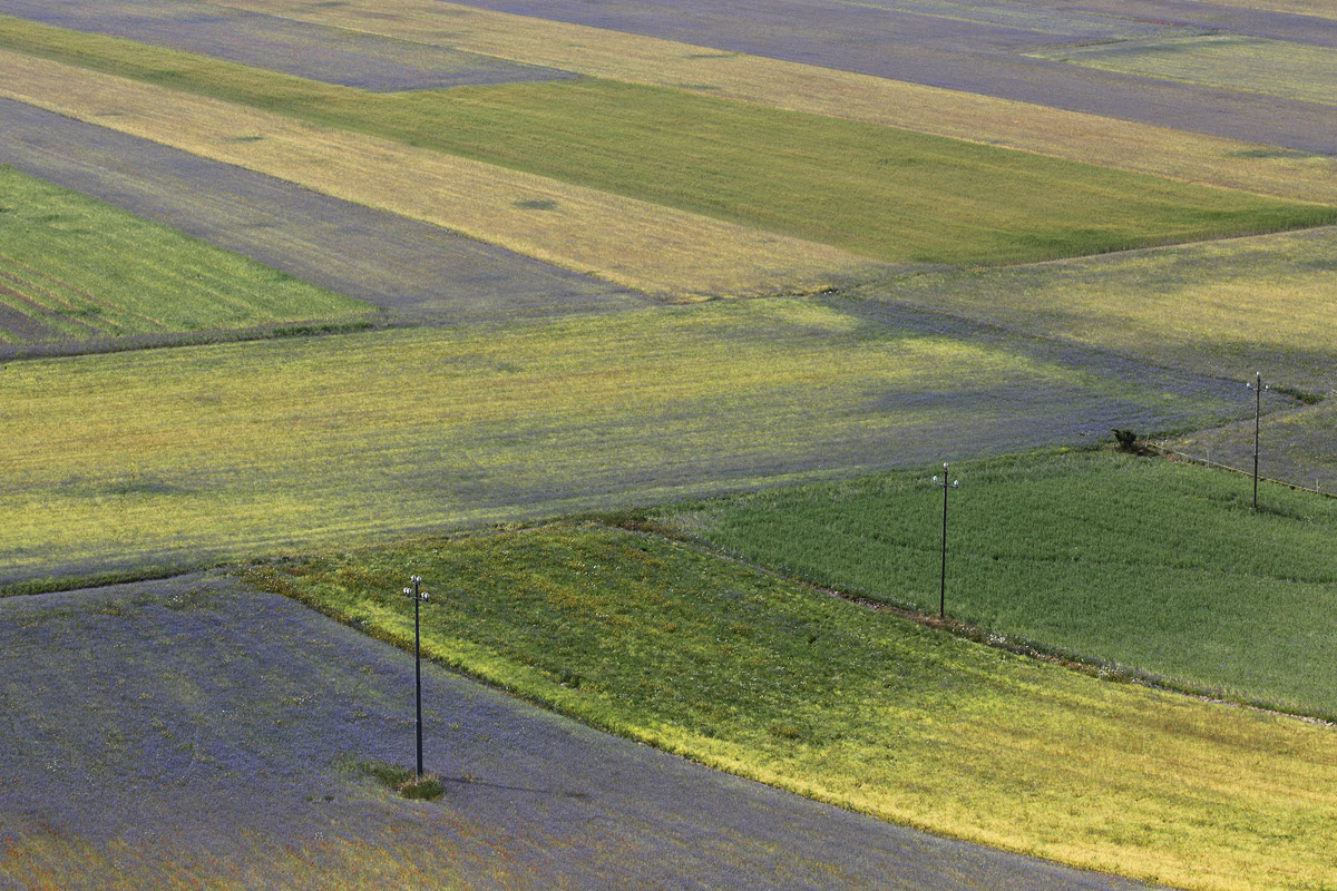 Castelluccio 2015 Piangrande