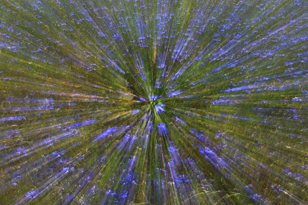 I colori di Castelluccio a Luglio 2015