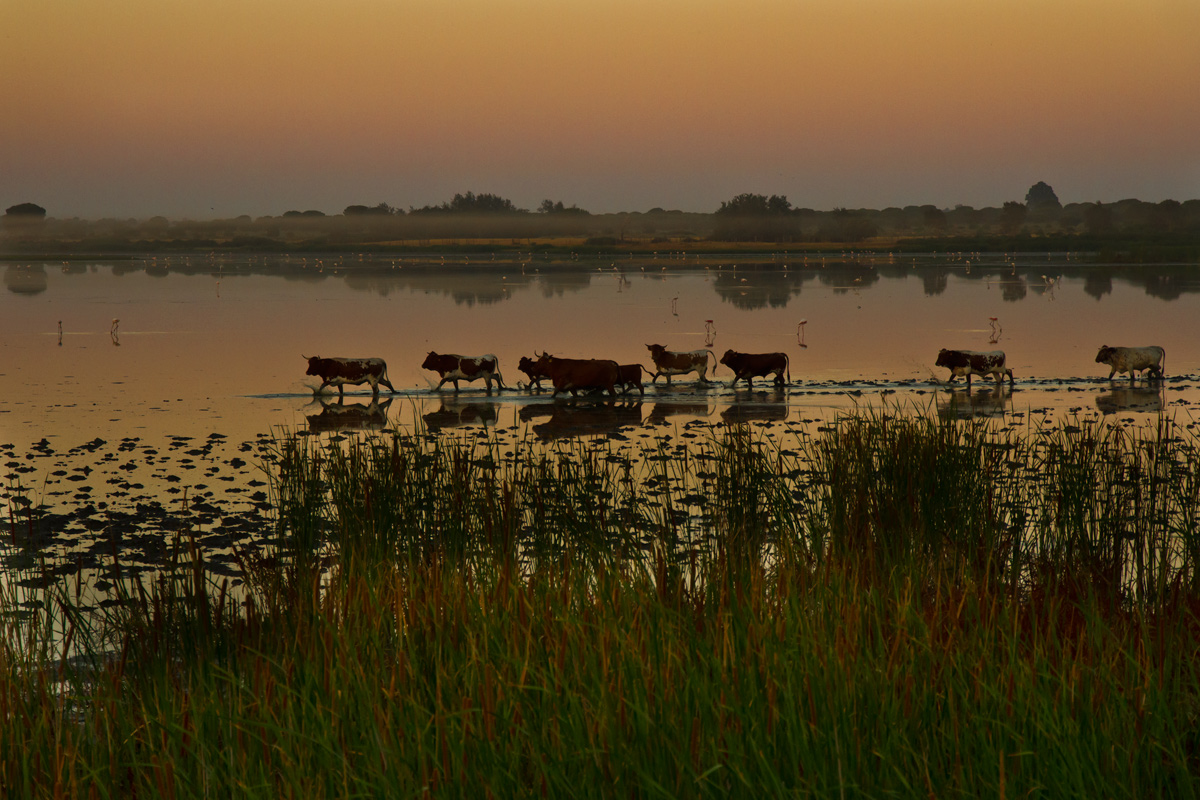 Al sorgere del sole 2