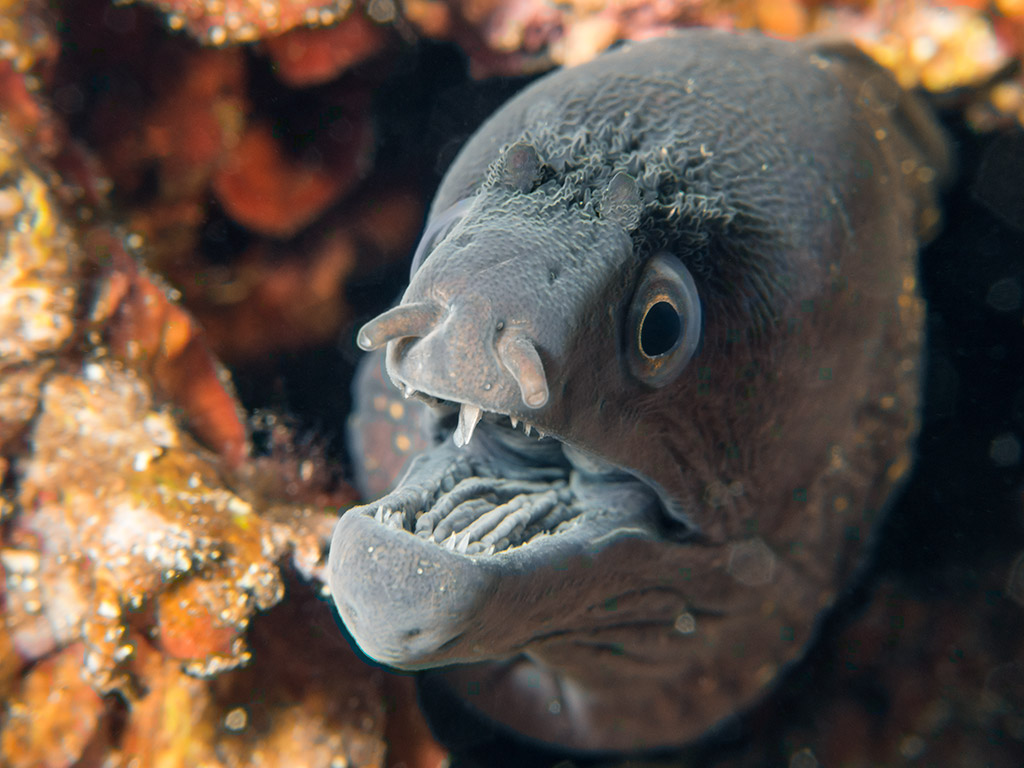 We were about to kiss, then smiled at me :-)