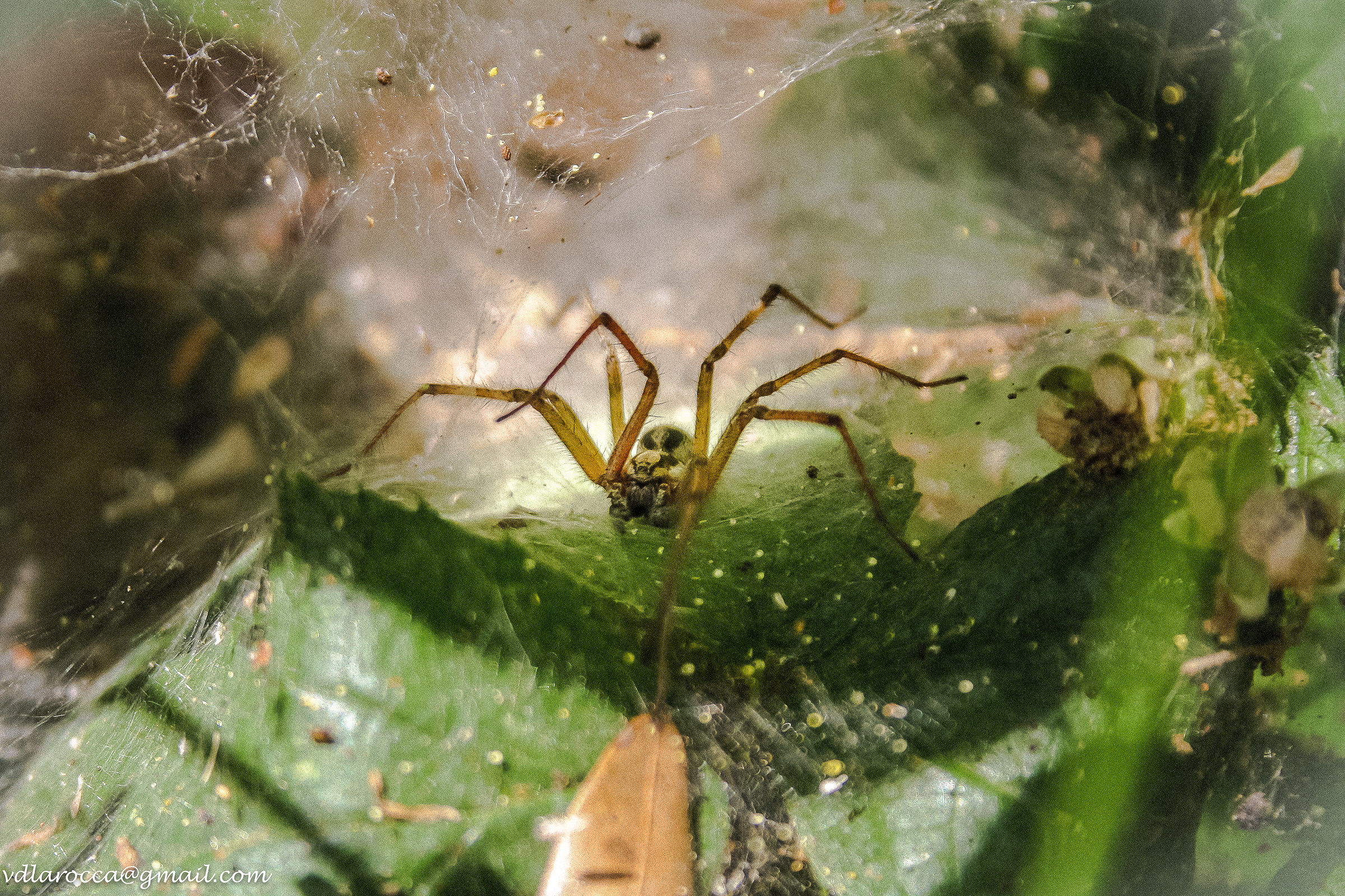 .... "Excuse the mess at home" !!!