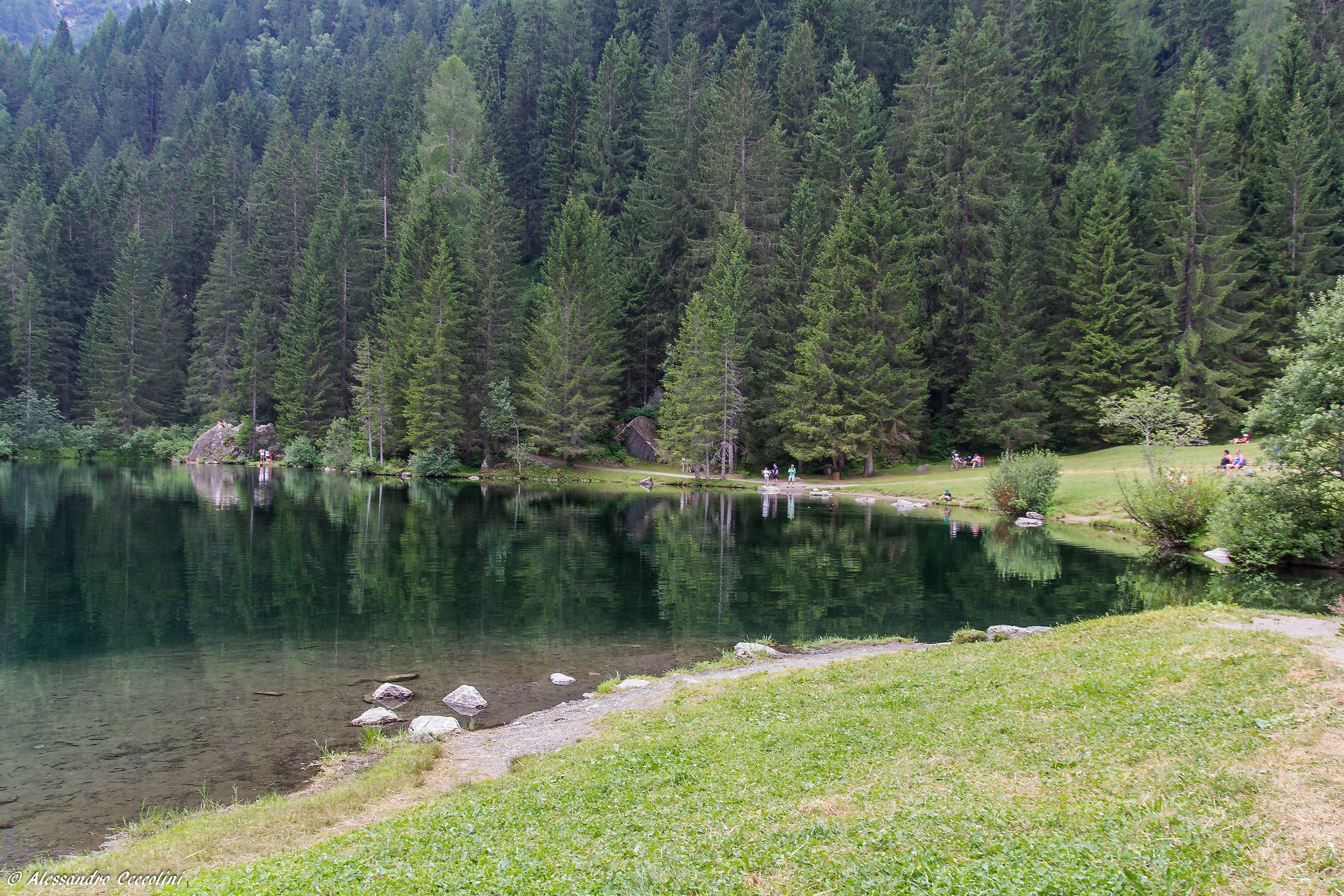 Lago dei Caprioli/3