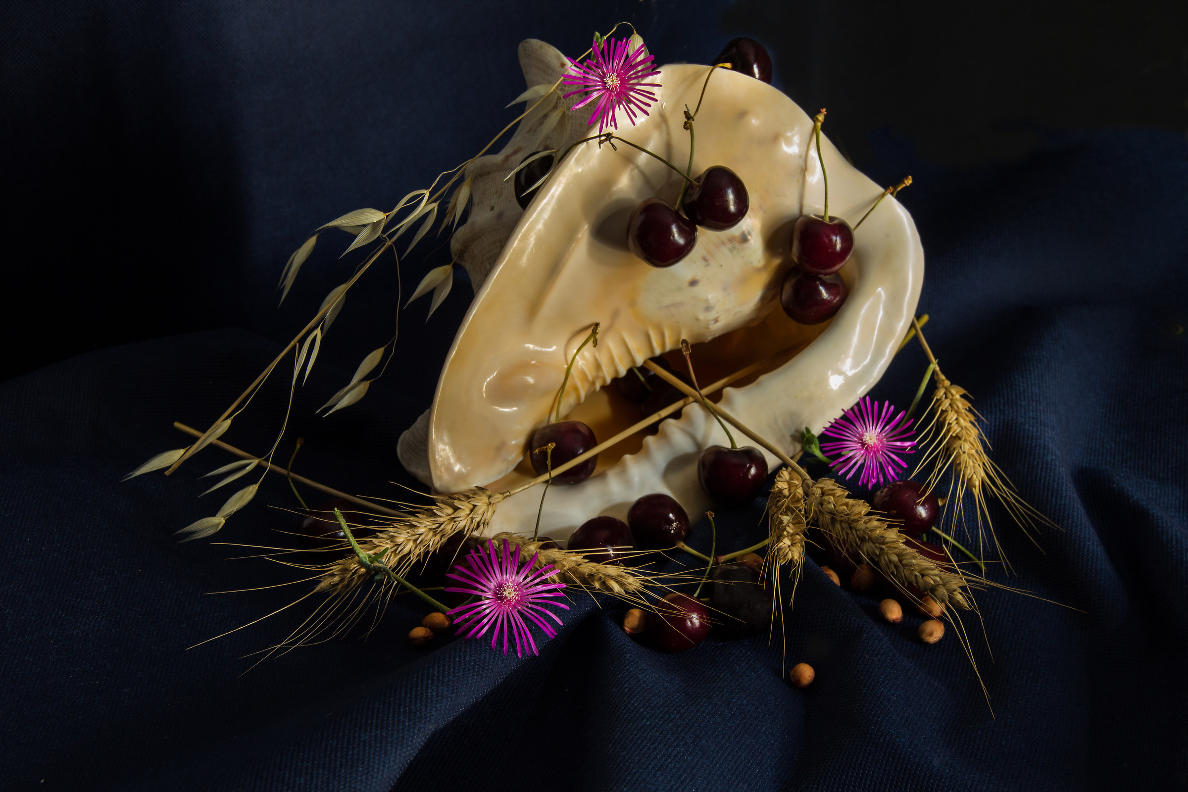 Ciliegie in conchiglia