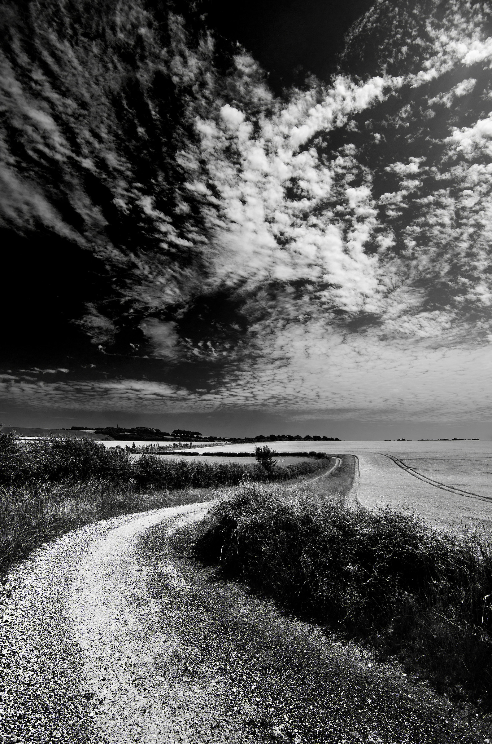 For All These Roads That I Have Travelled...