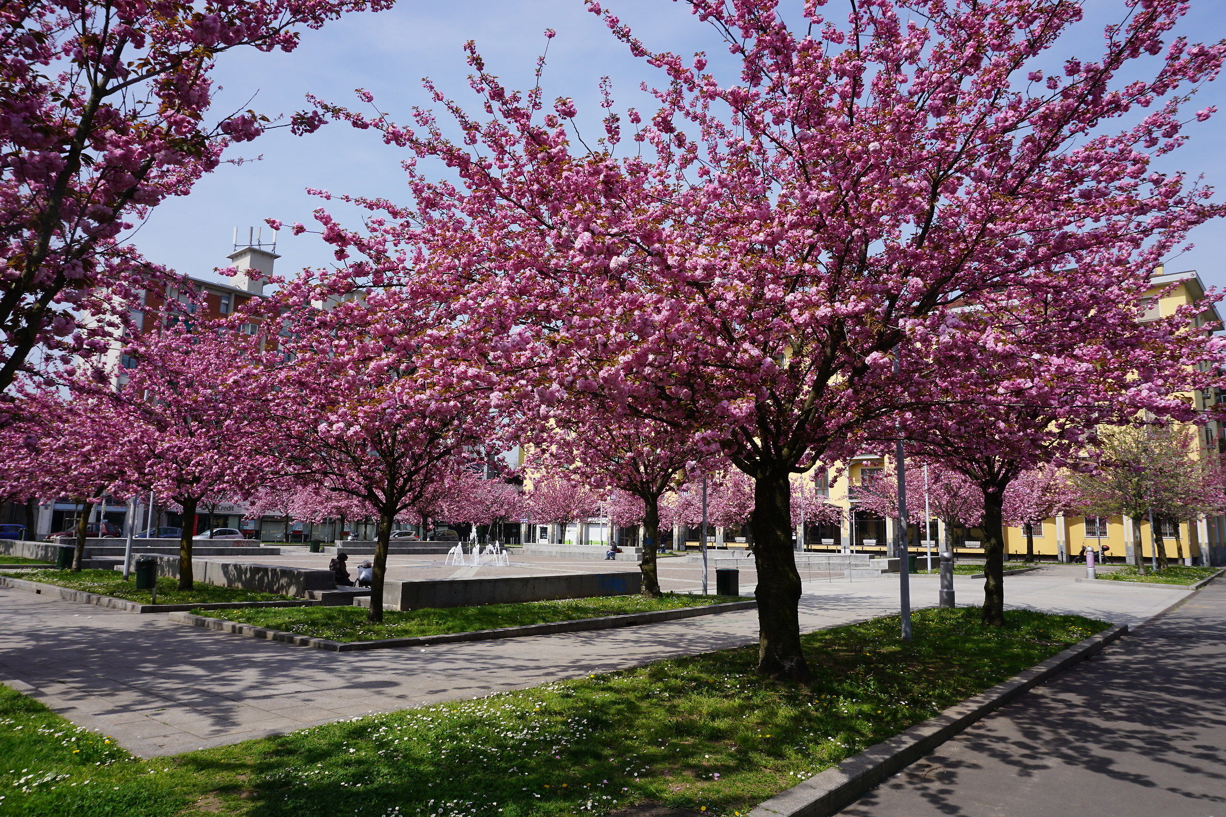 Piazza< Anita Garibaldi a Milano inizio primavera