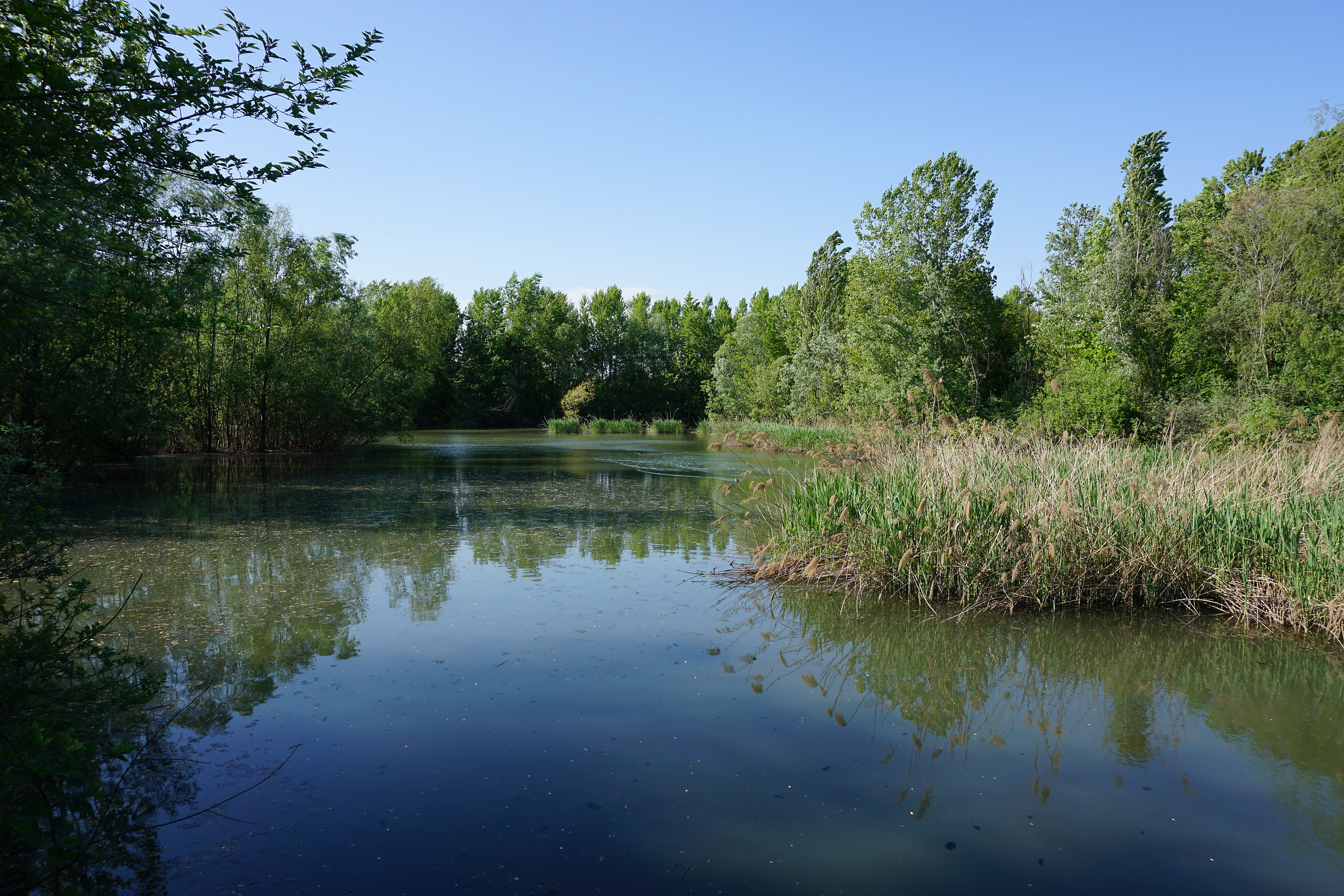 Parco delle cave Aa Milano