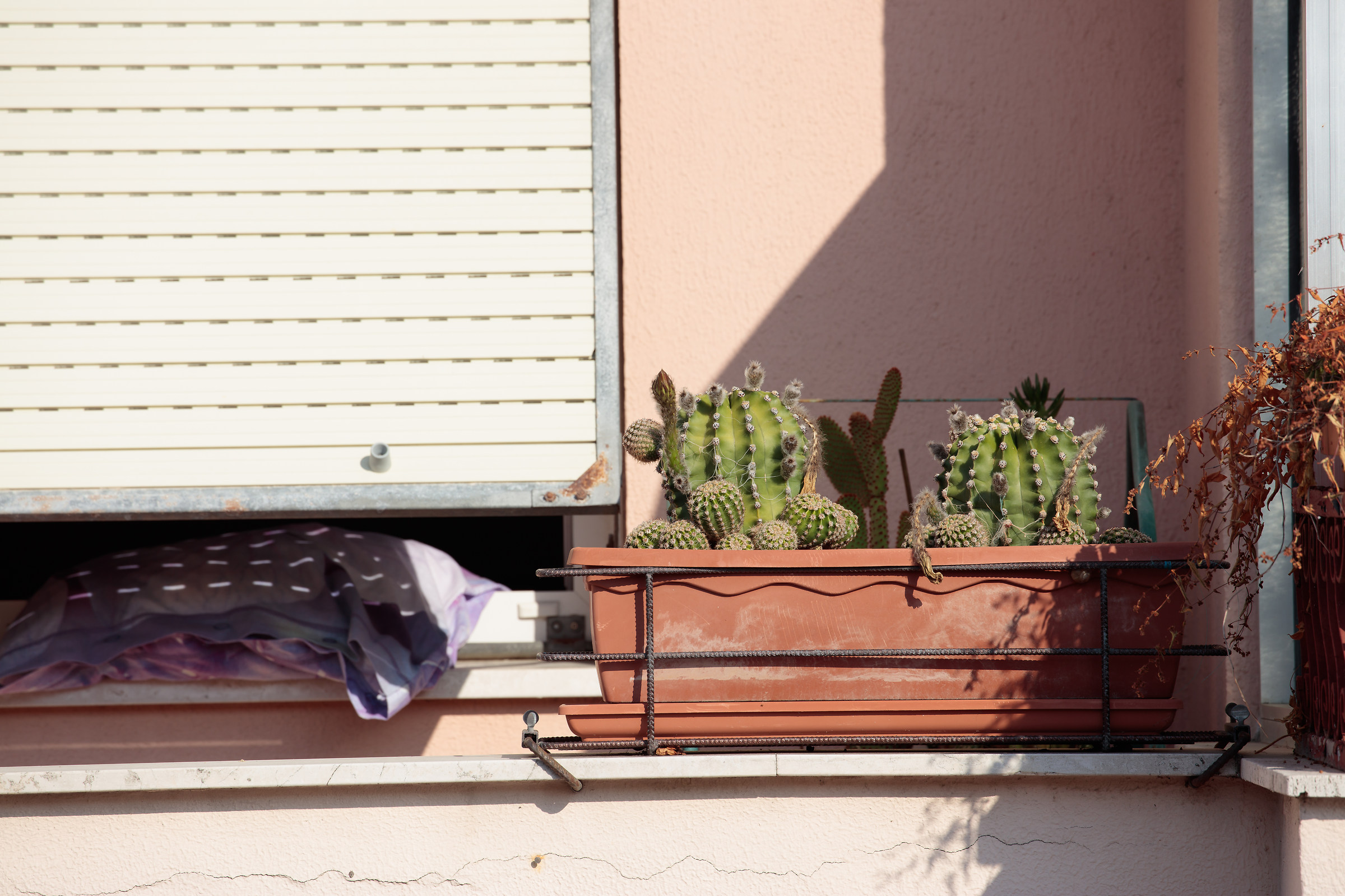 5Dsr downrez 8000px f/10