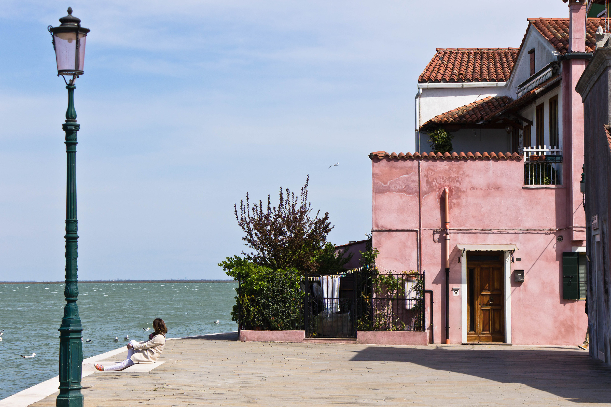 The banks of the lagoon
