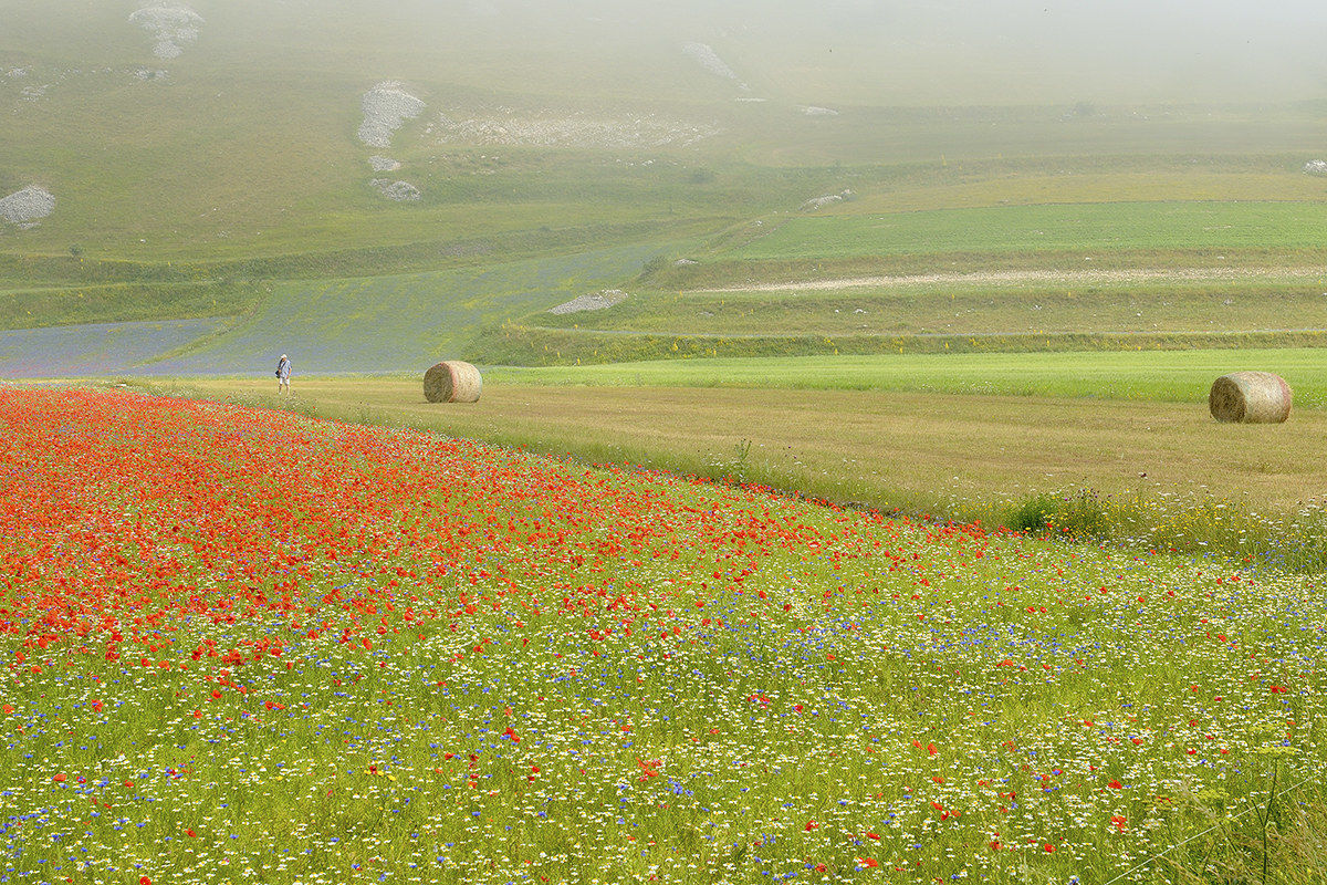 Castelluccio