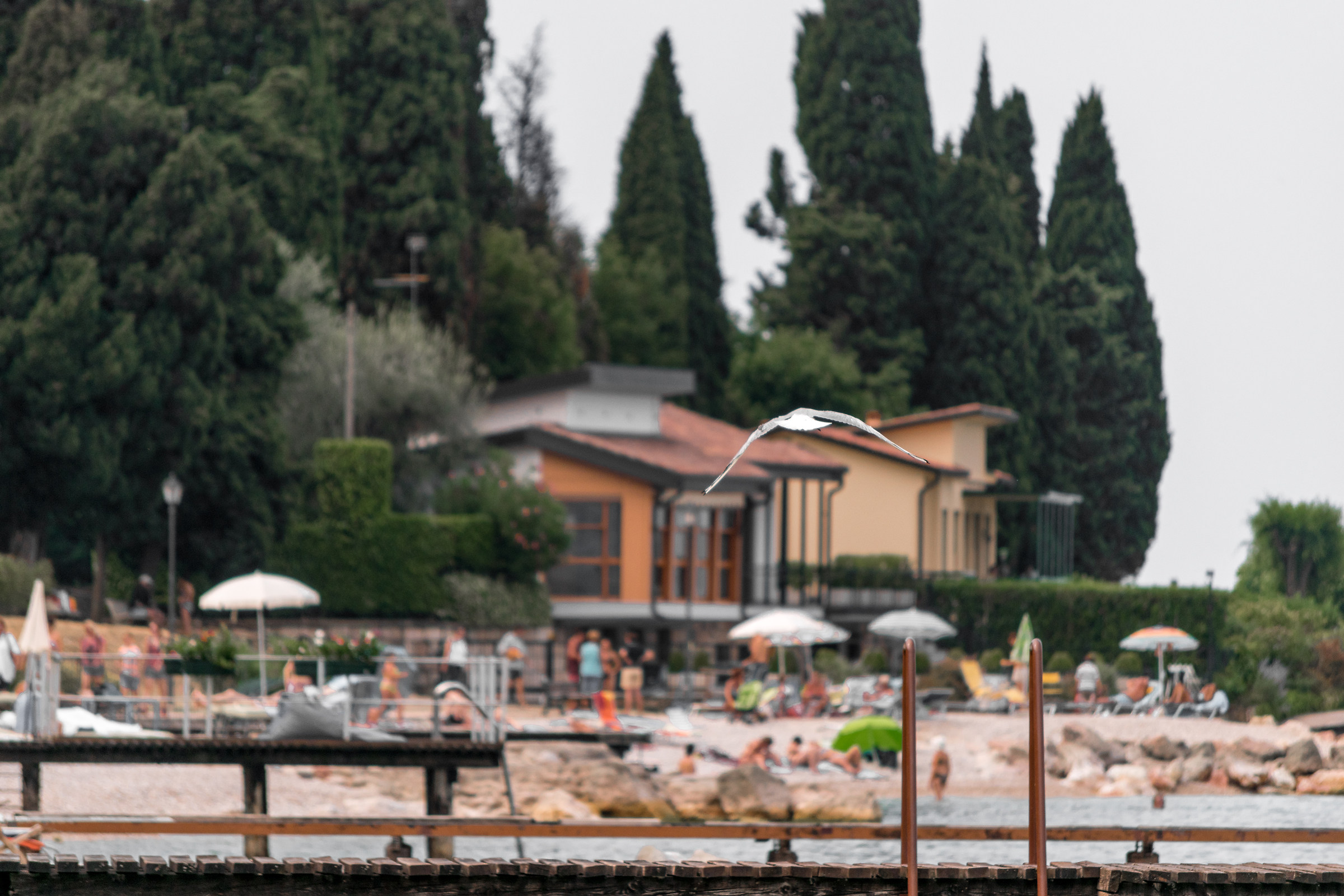 Gabbiano, Castelletto di Brenzone