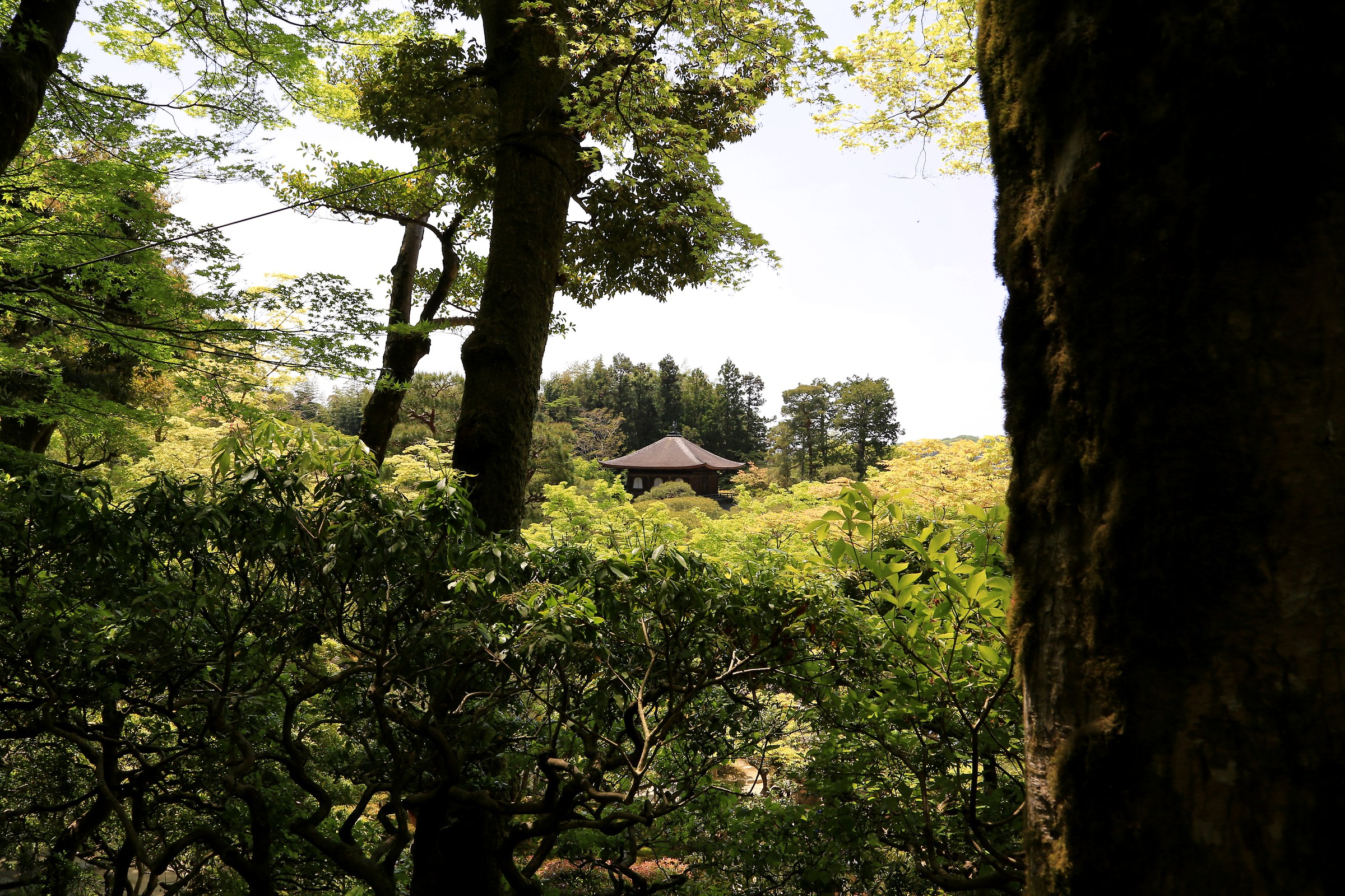padiglione d'argento  (Ginkaku-ji)