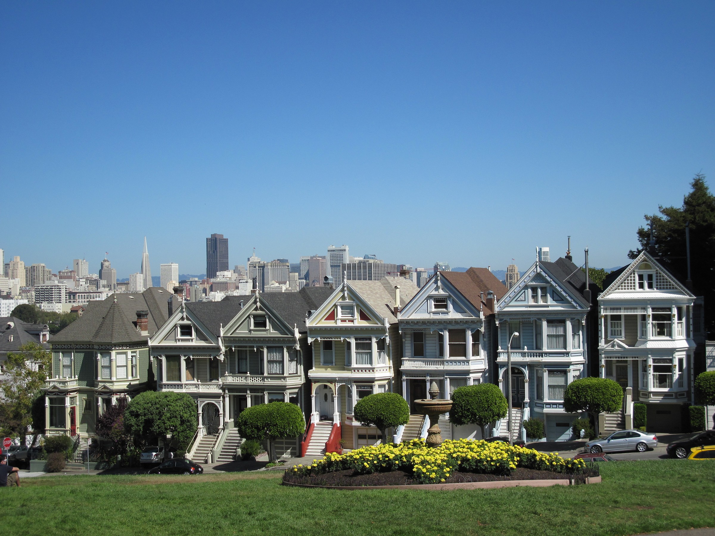 Painted Ladies