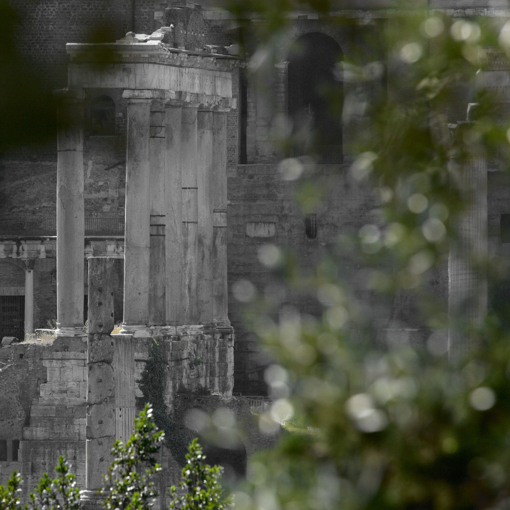 Besides the vegetation, the Urbe.