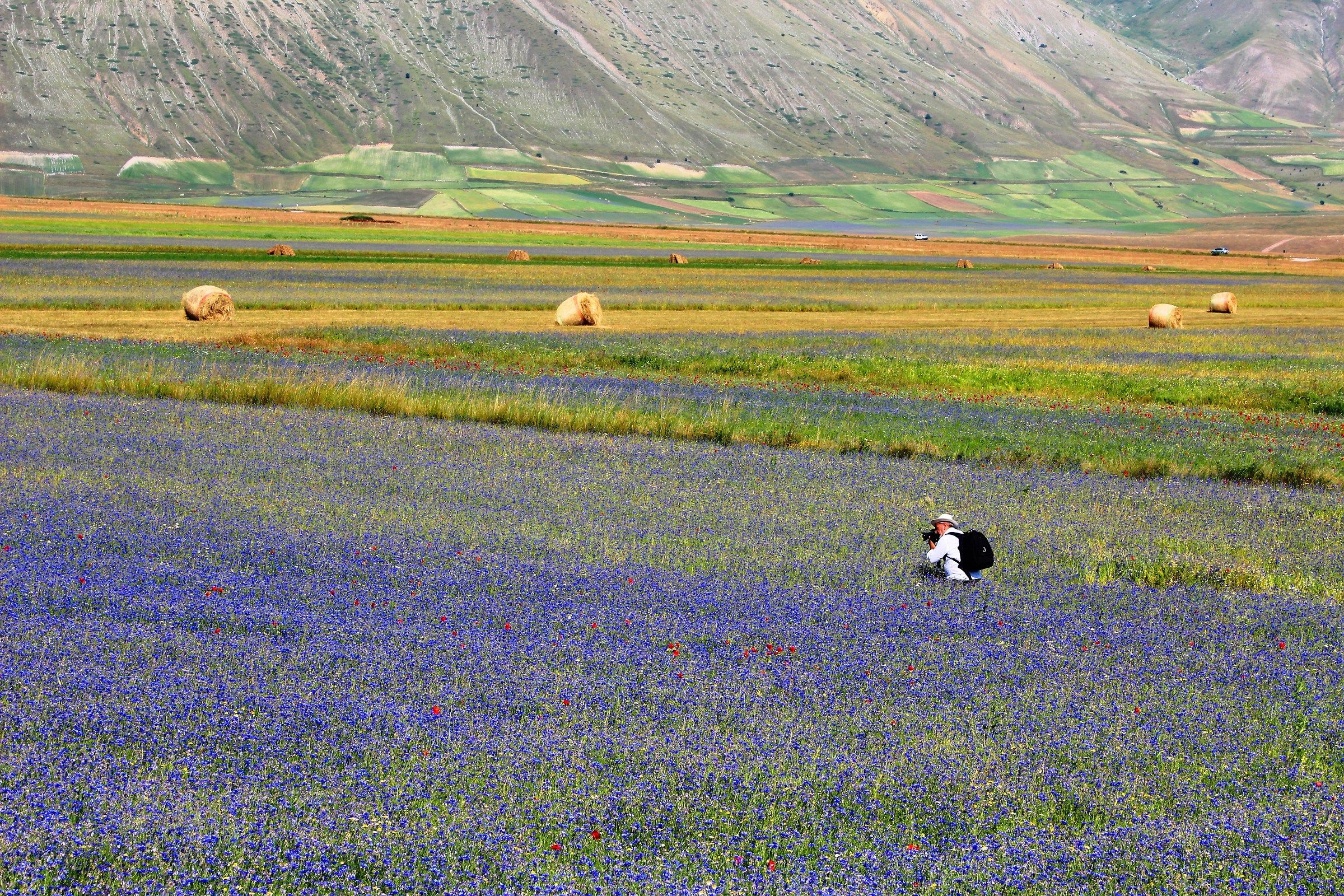 He staked his prey ...