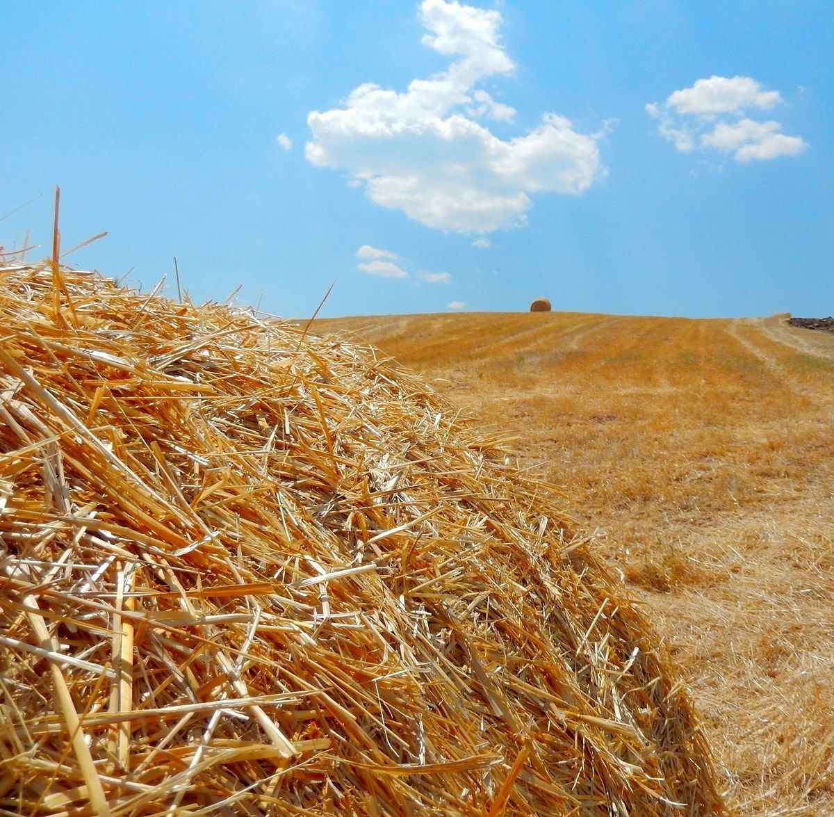 Straw and Clouds