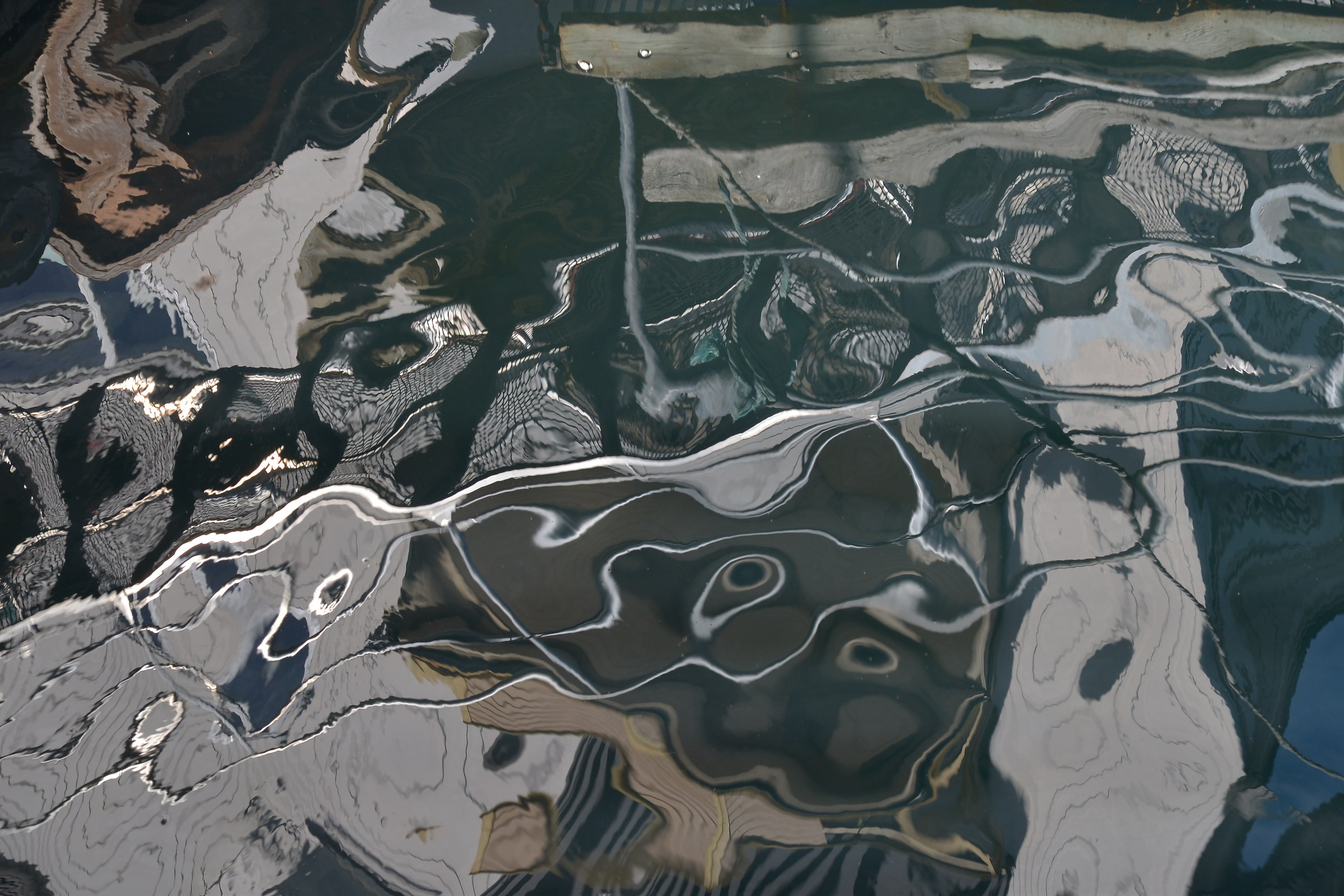 the black and the water