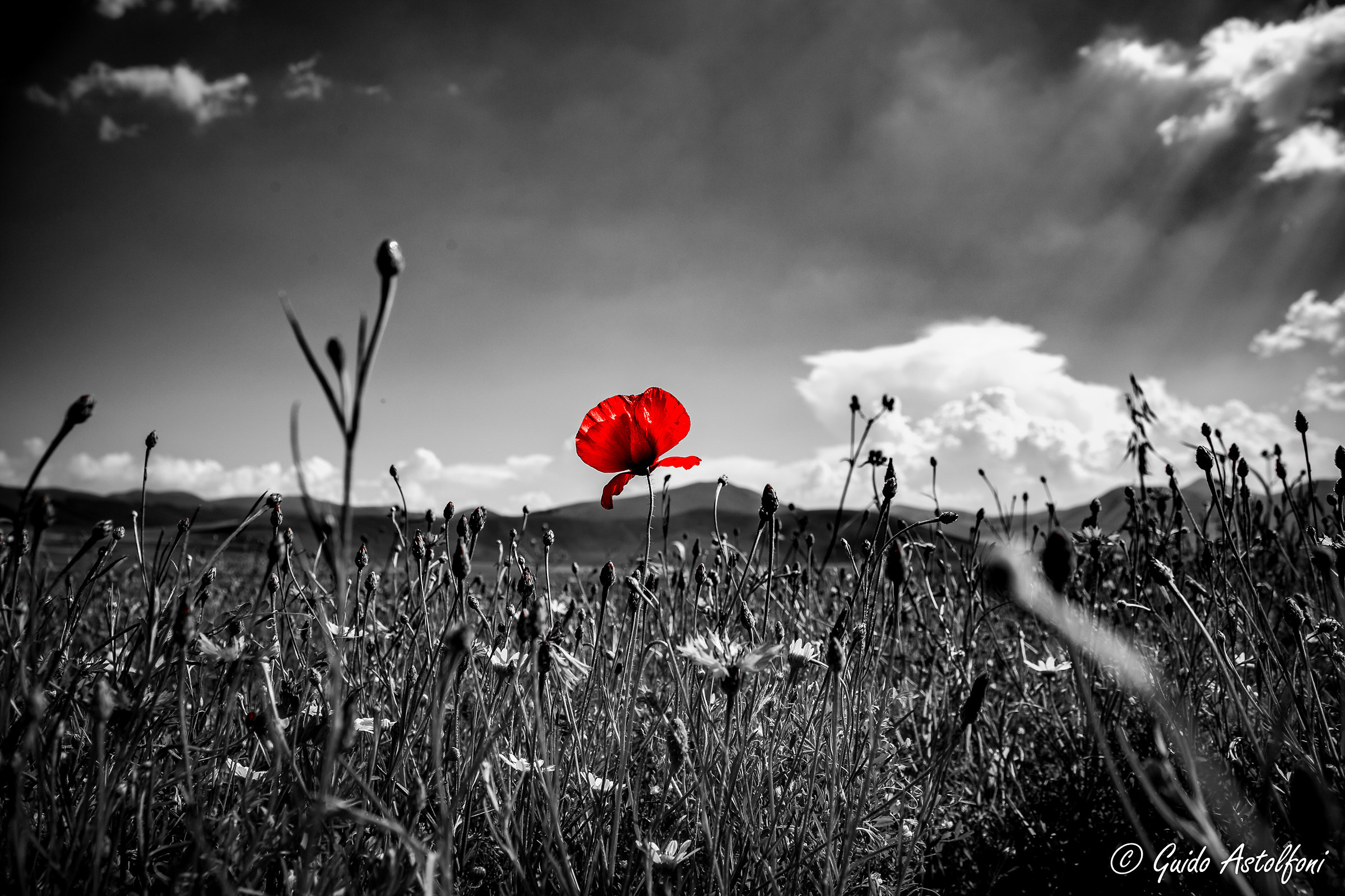 Castelluccio 2015 - 02