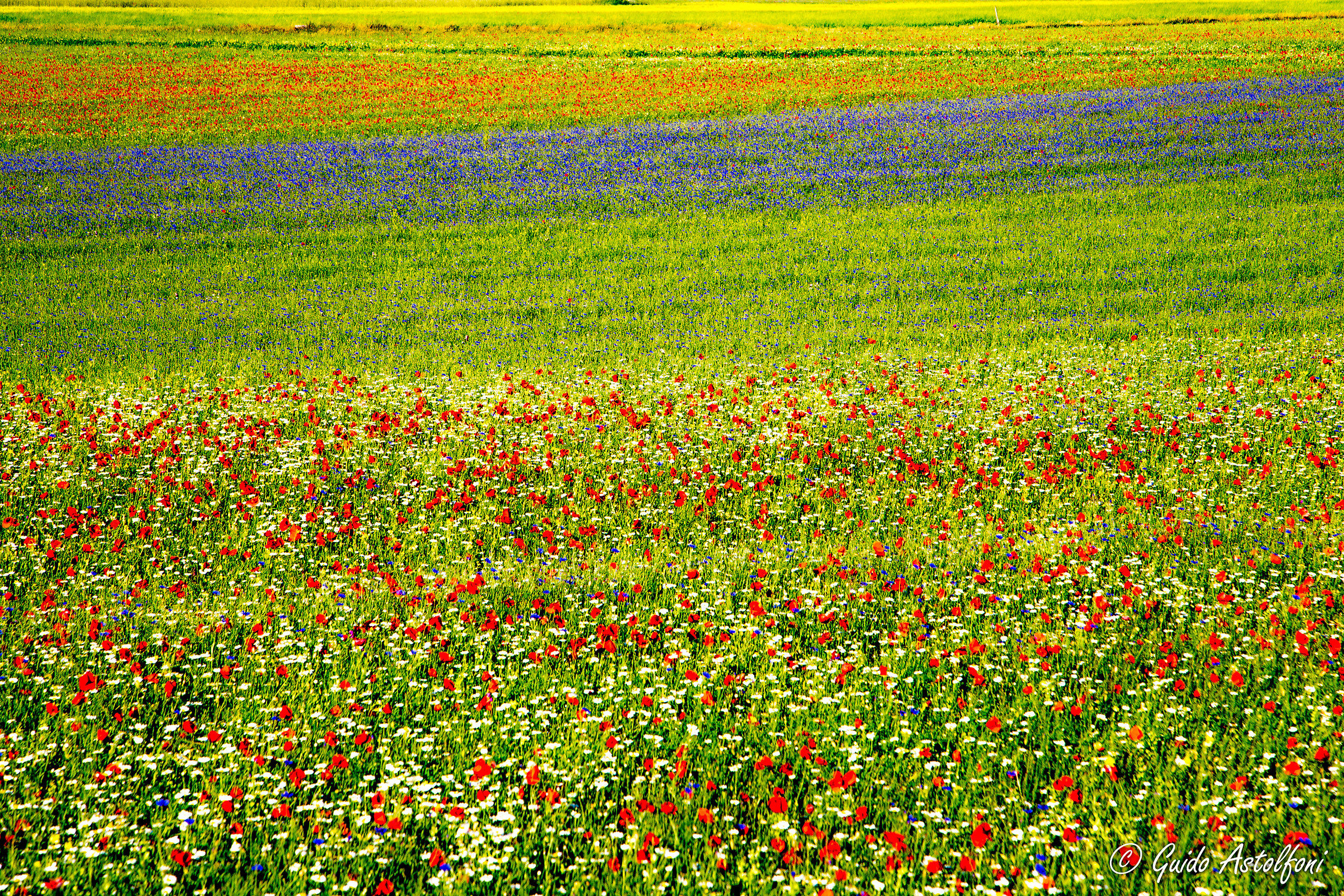Castelluccio 2015 - 05