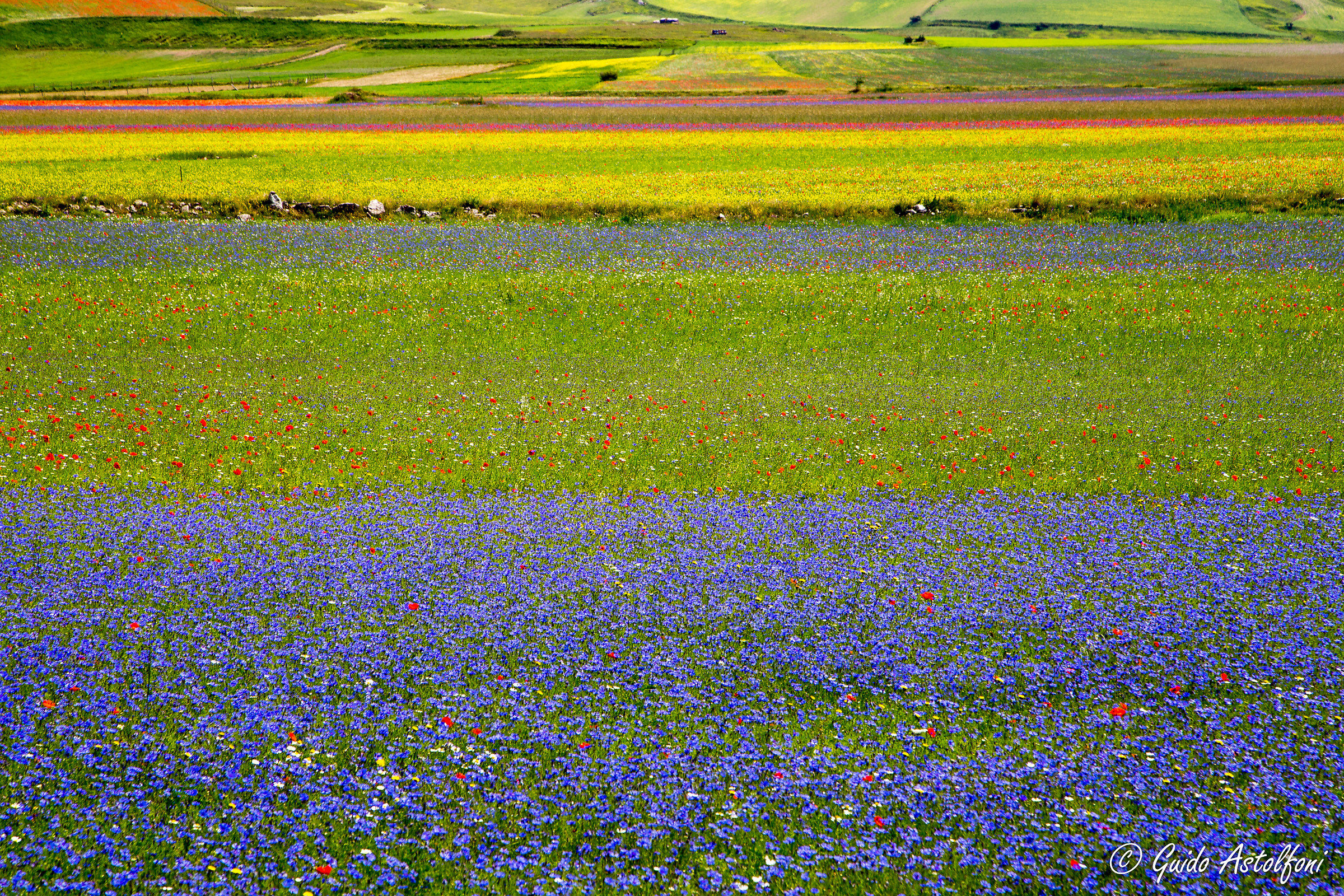 Castelluccio 2015 - 09