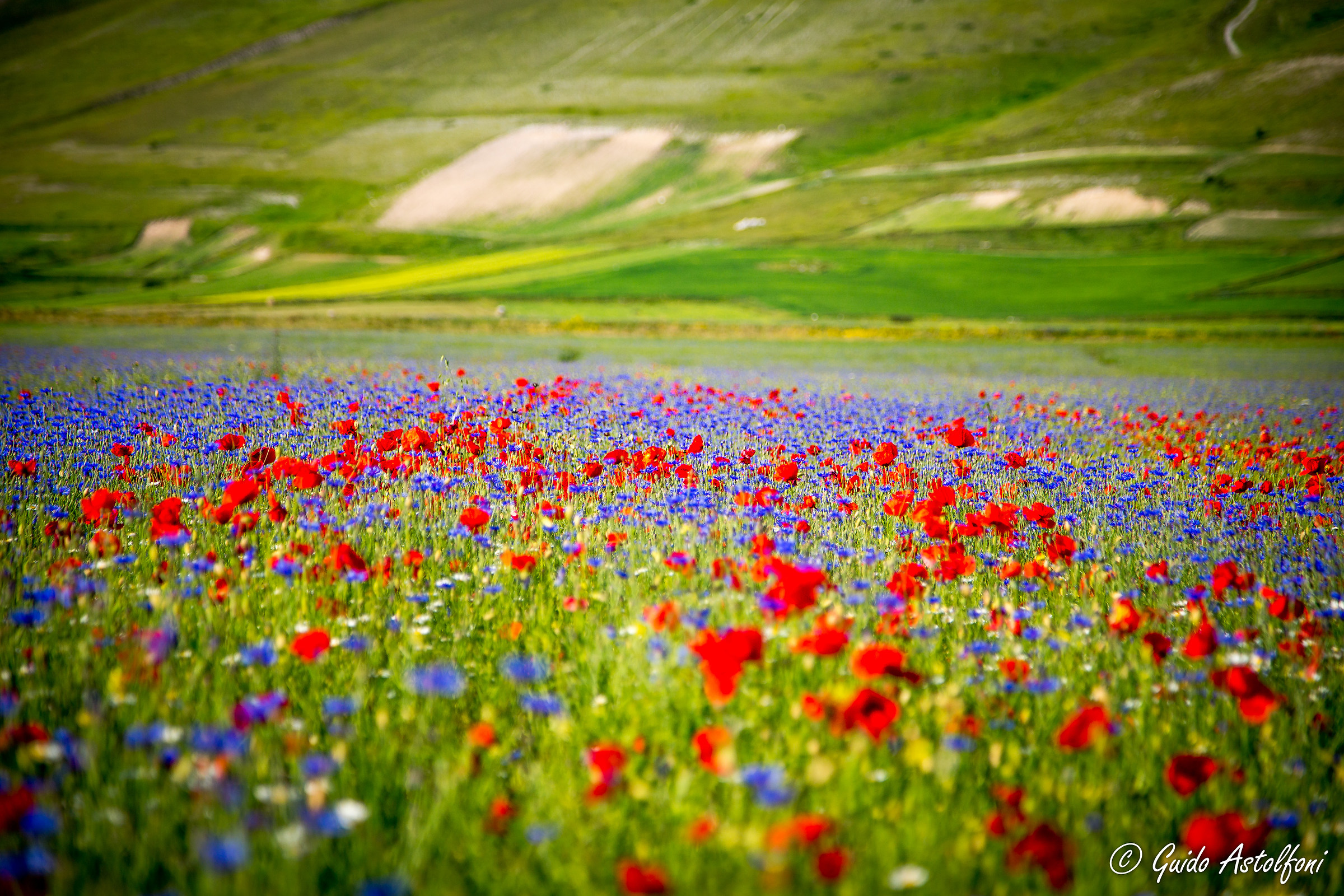 Castelluccio 2015 - 10