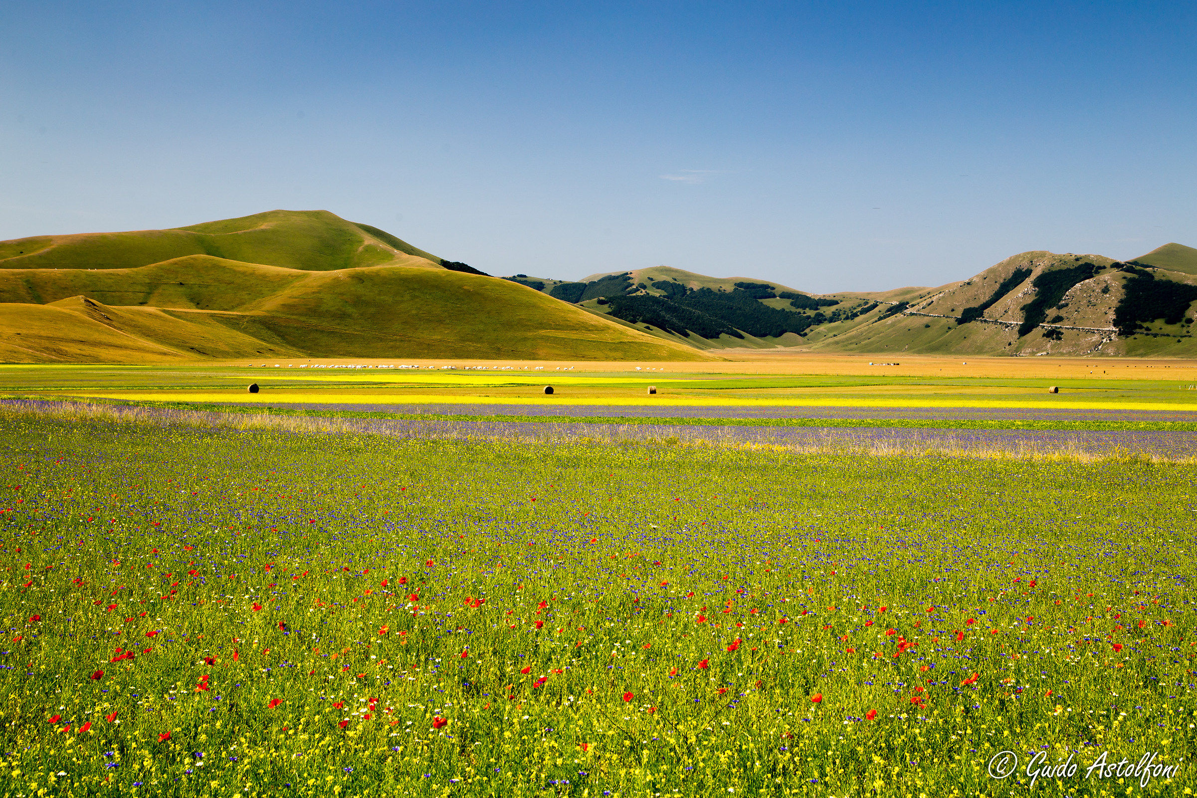 Castelluccio 2015 - 12