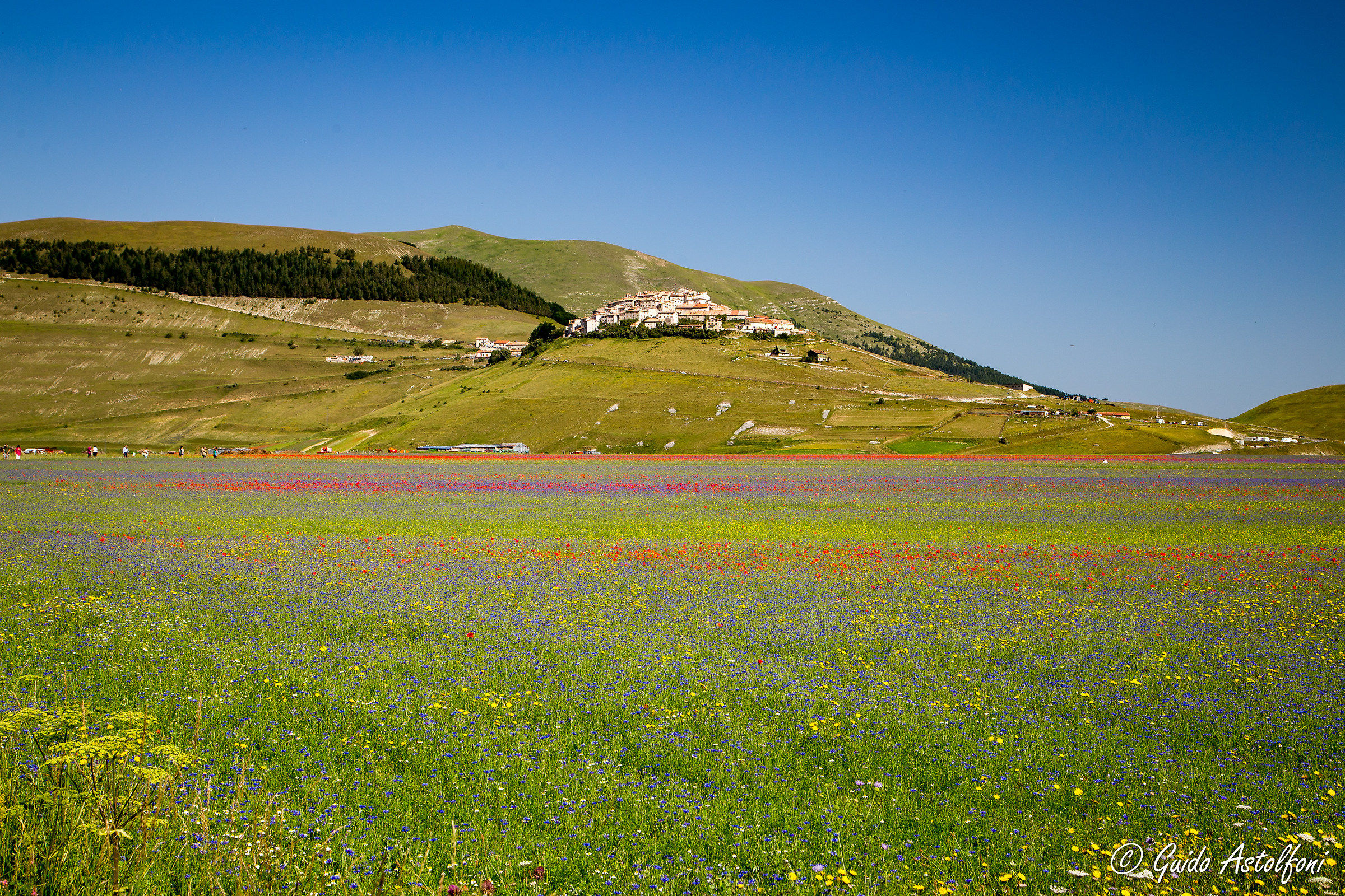 Castelluccio 2015 - 13