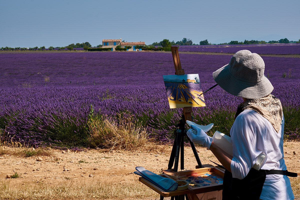 provenza nella provenza