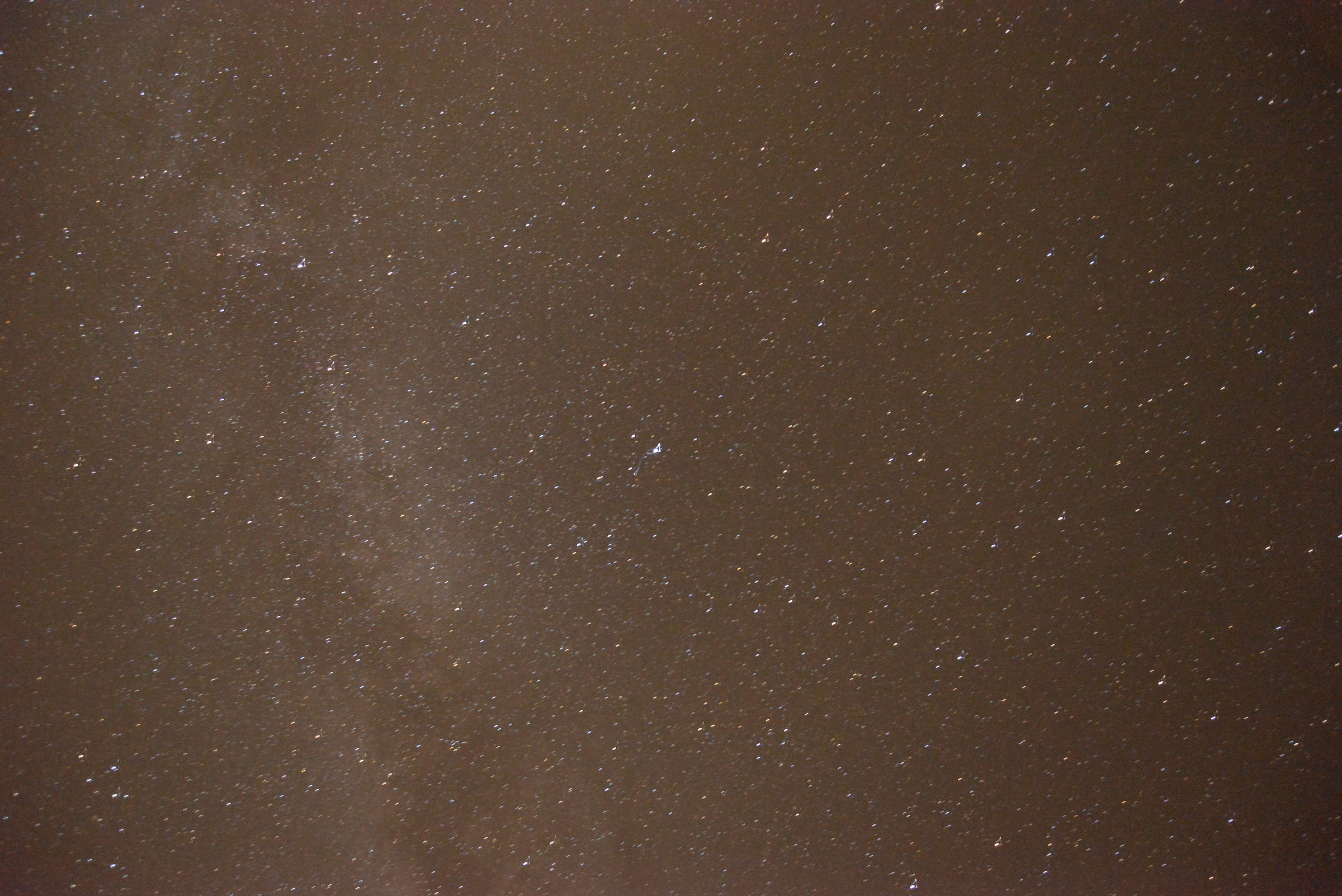 stars of the Maremma