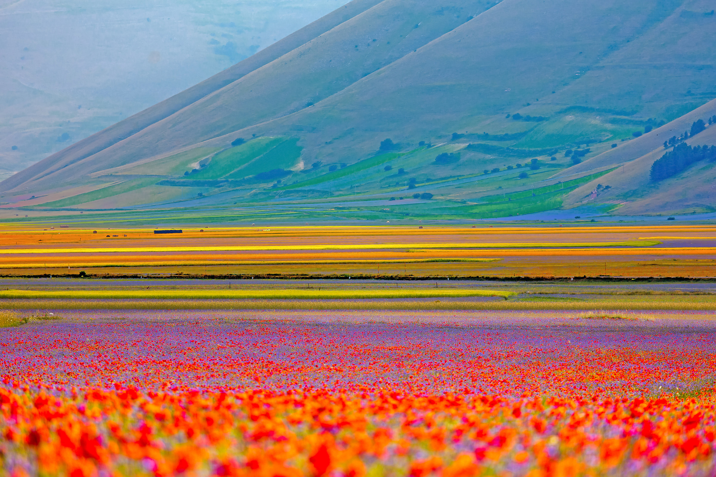 Castelluccio