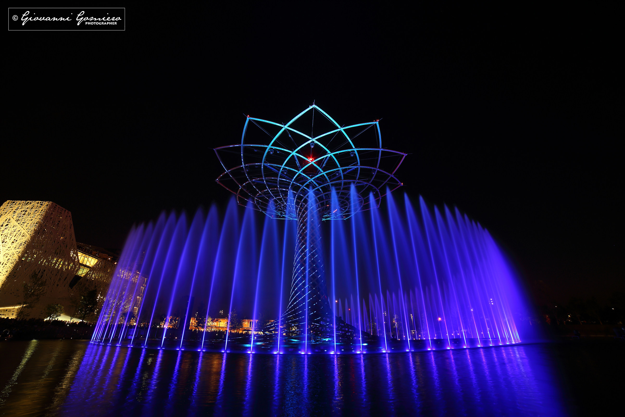 Tree of Life Expo2015 02