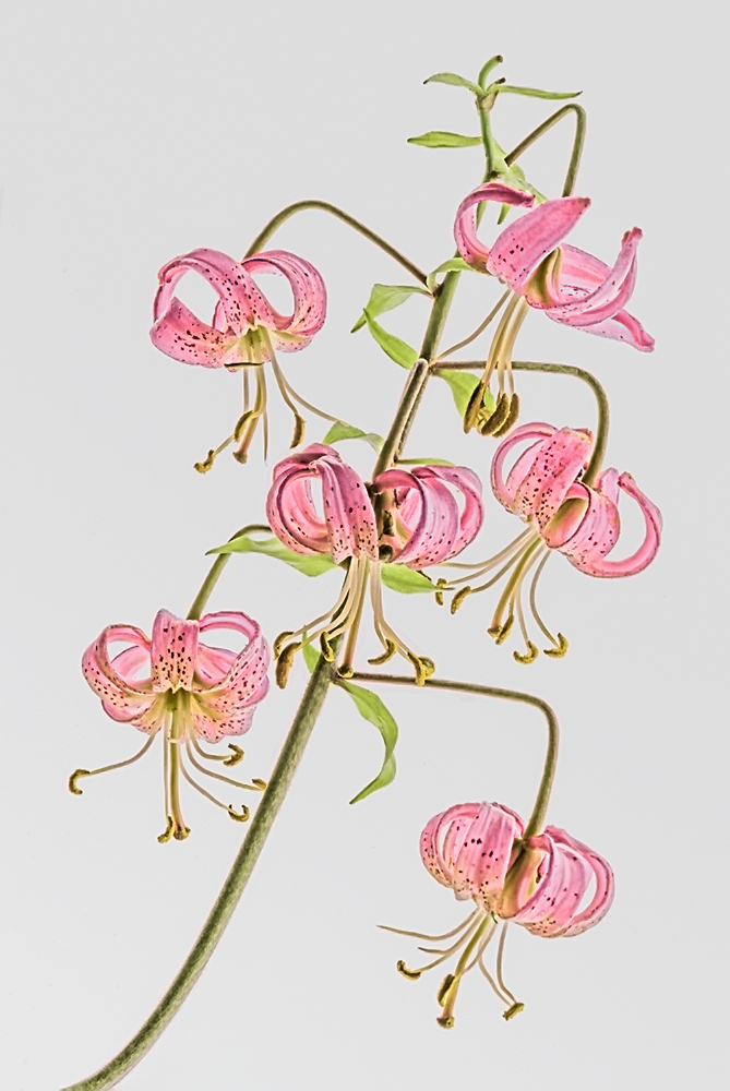 The Alps in San Marino