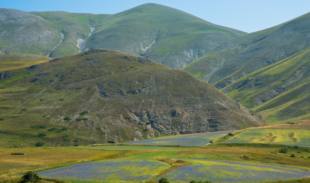 Castelluccio, 19 luglio 2015