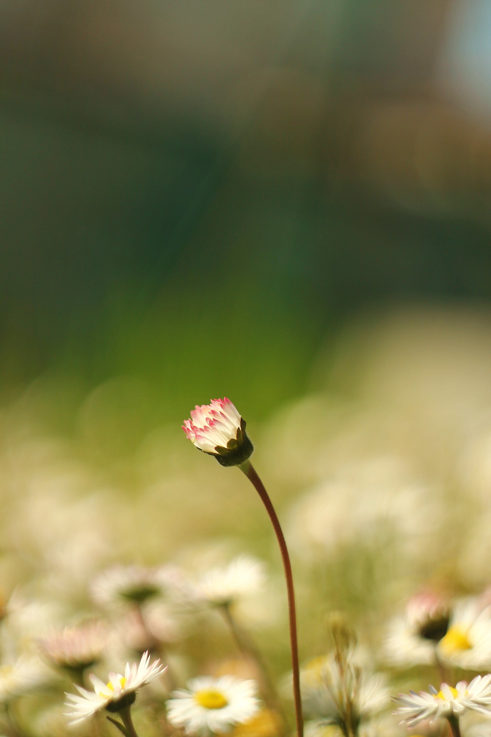 Get ready for your day