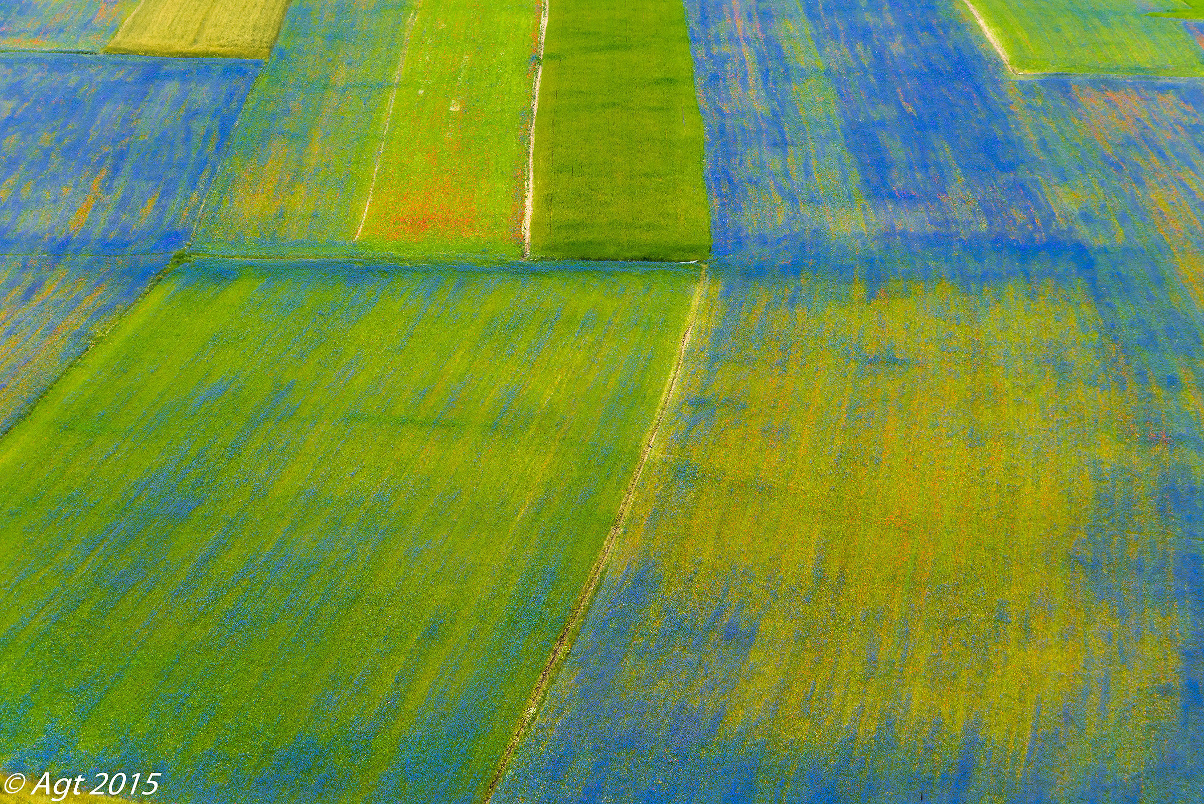Castelluccio patchwork