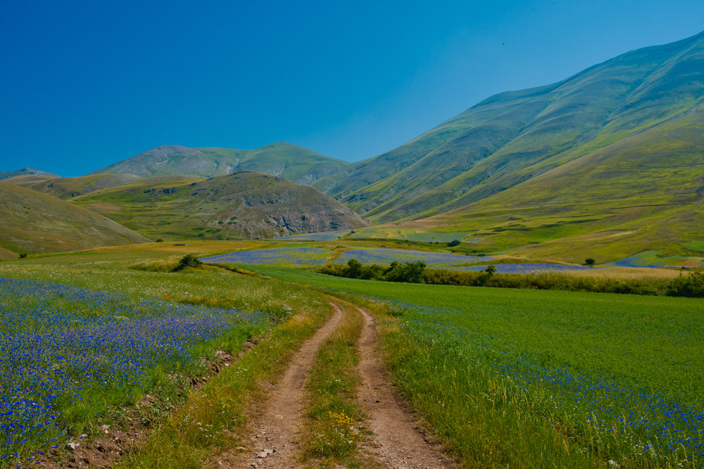 Castelluccio, 19 luglio 2015