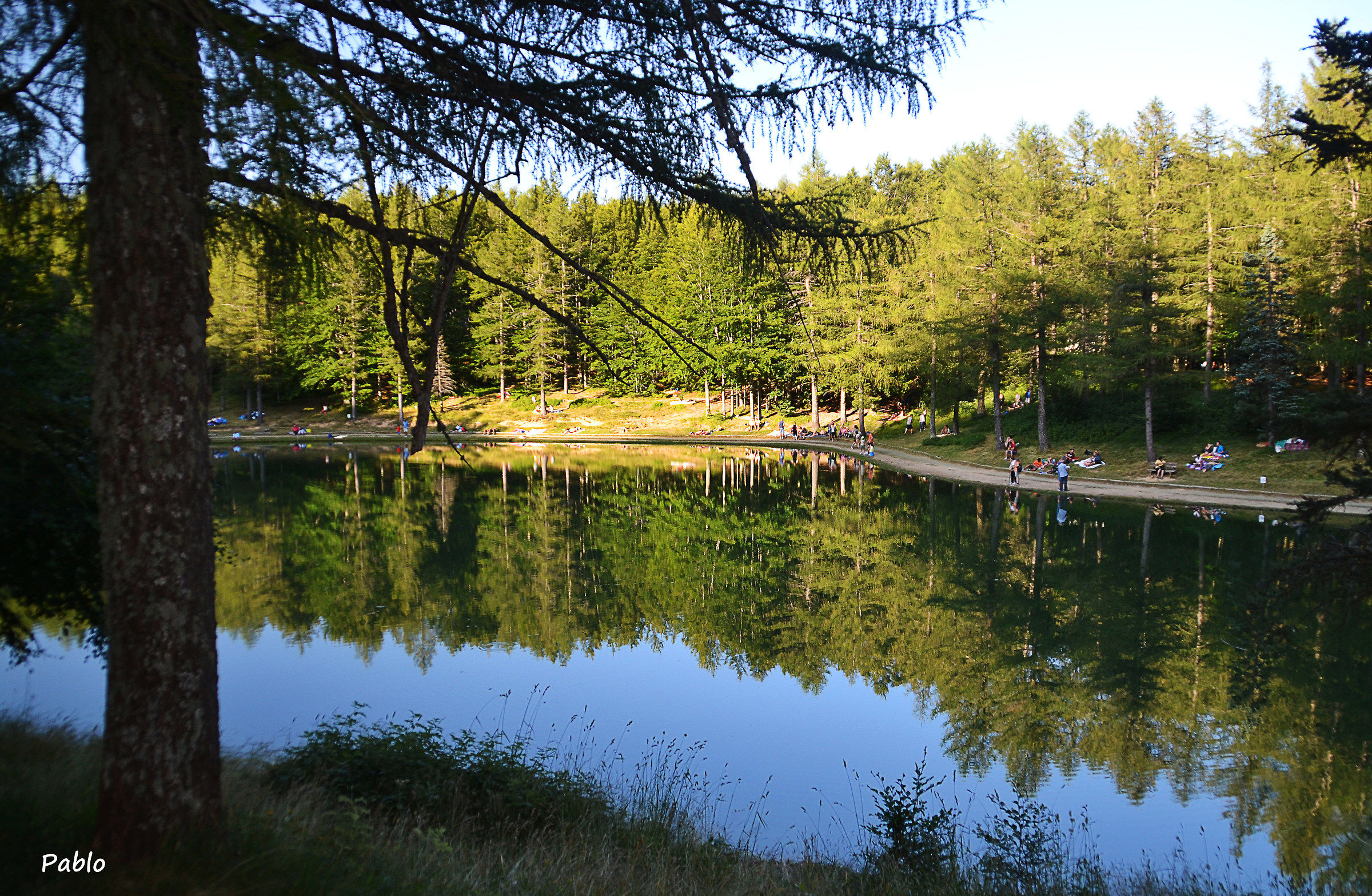 Reflections Lake nymph