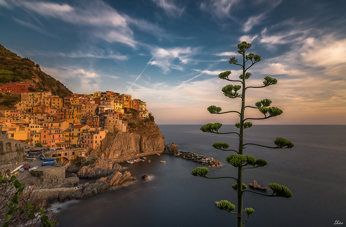 Manarola