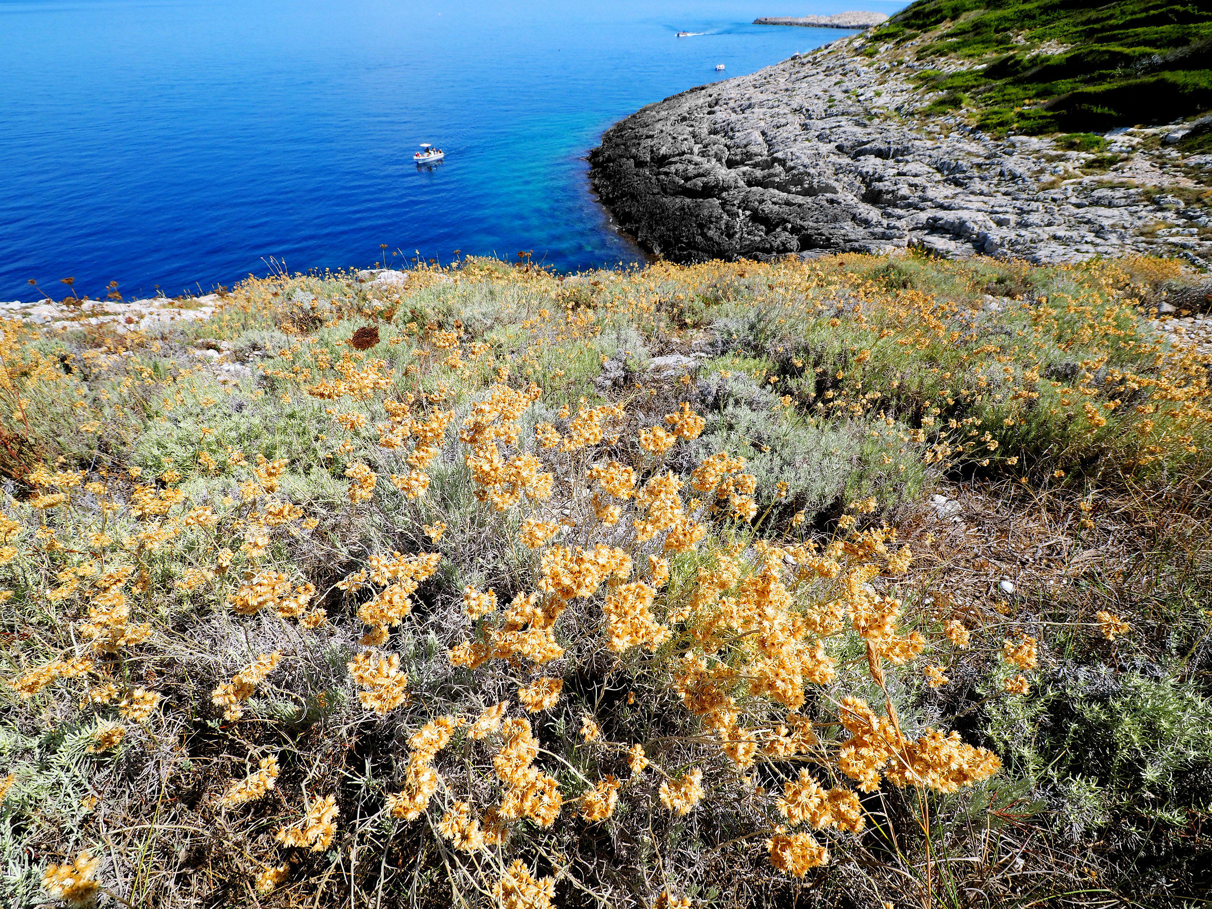 Isola di S.Domino - Tremiti