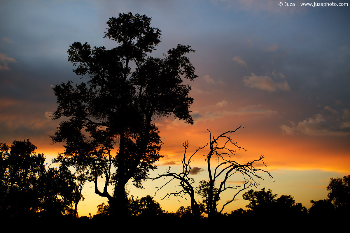 Tramonto nel South Luangwa, 014953