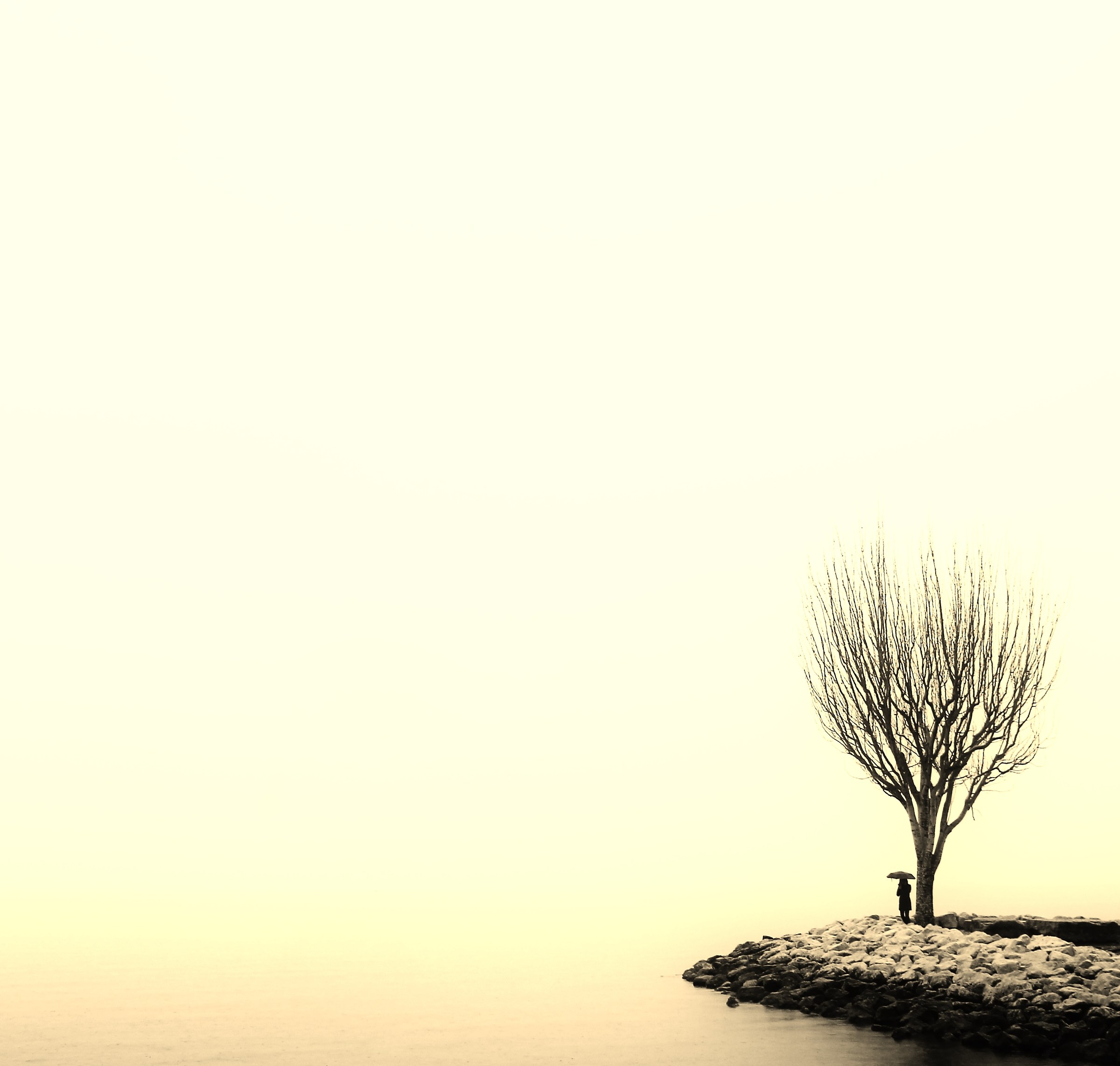 Waiting for the rising