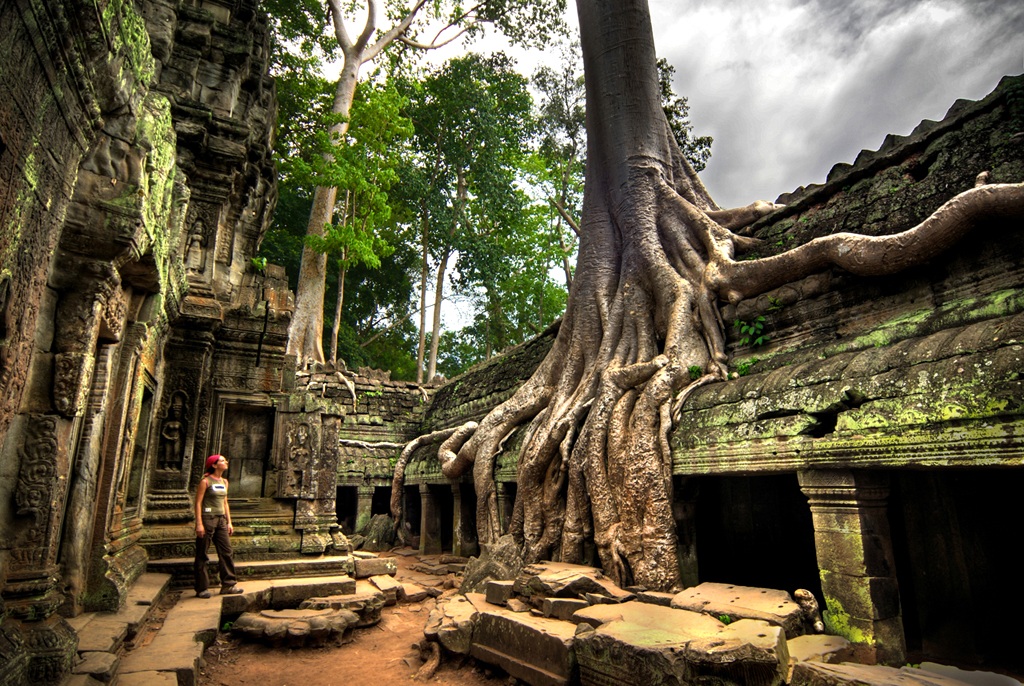 Ta Prohm temple, Angkor, Cambogia