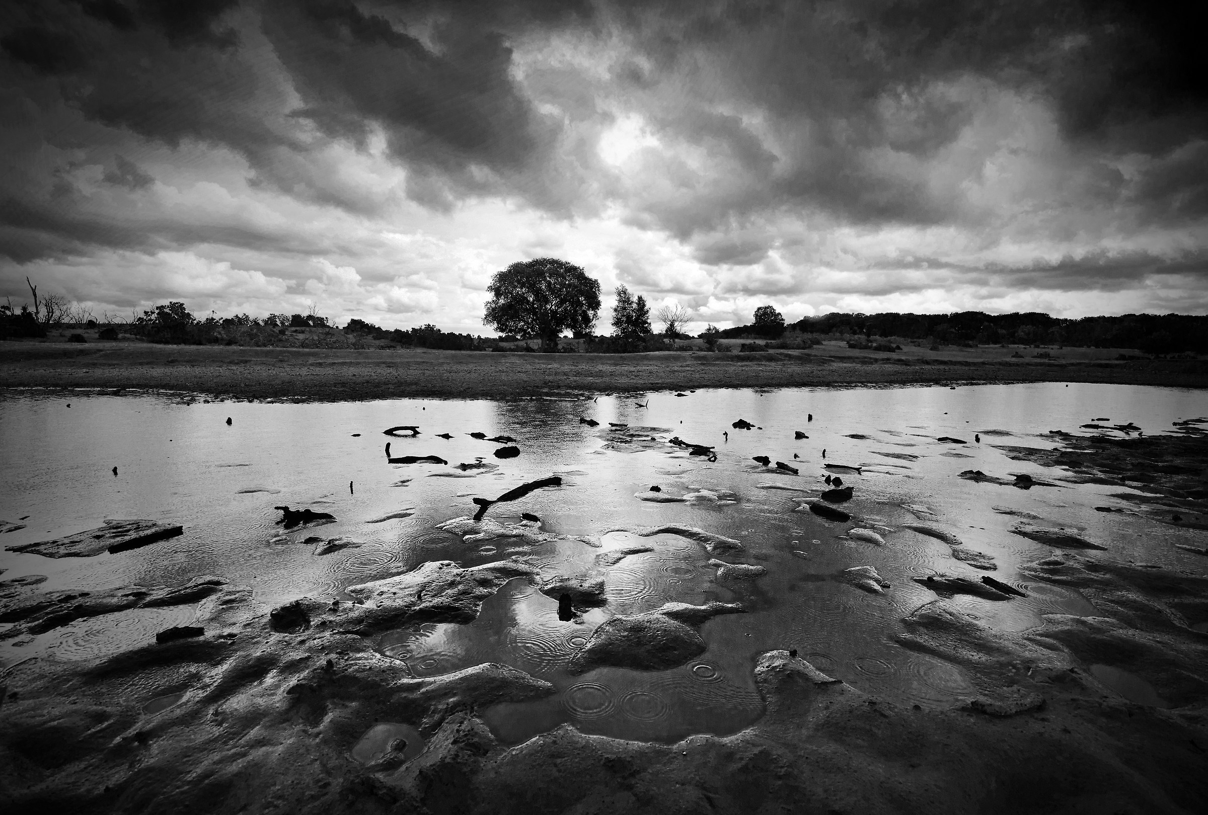 Rain Shower at the Drinking Pond