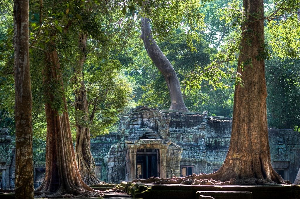 II Ta Prohm temple, Angkor, Cambodia