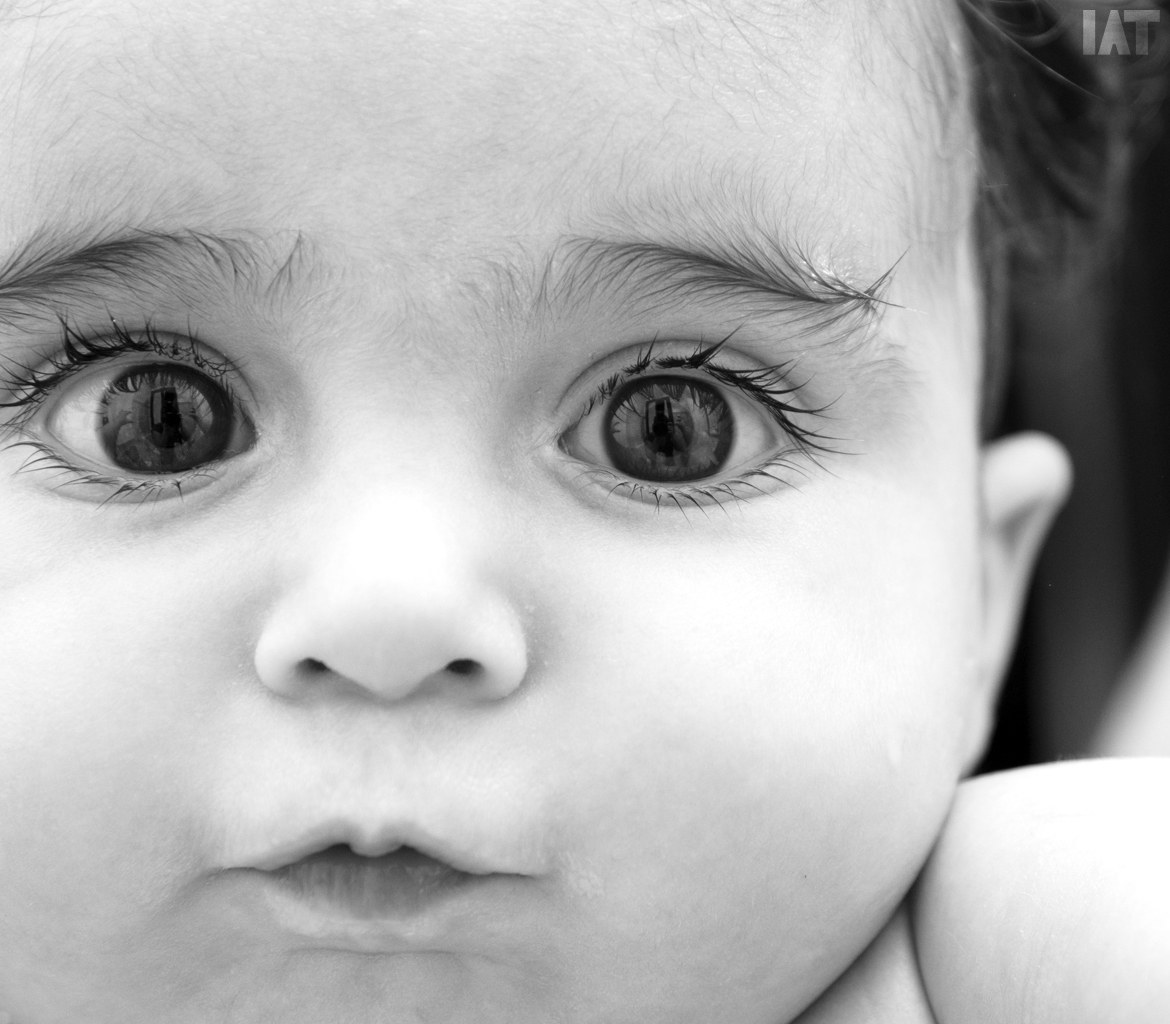 6 mesi in uno sguardo