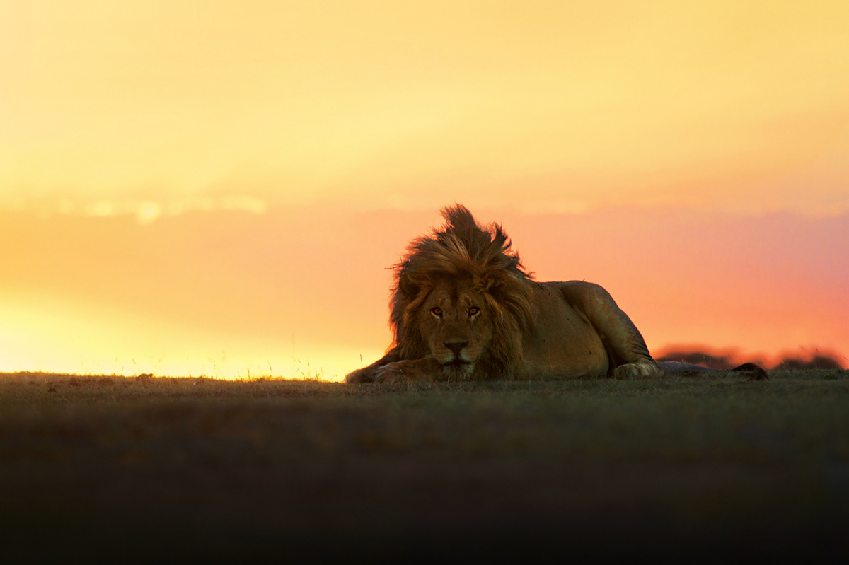 Emozioni al tramonto