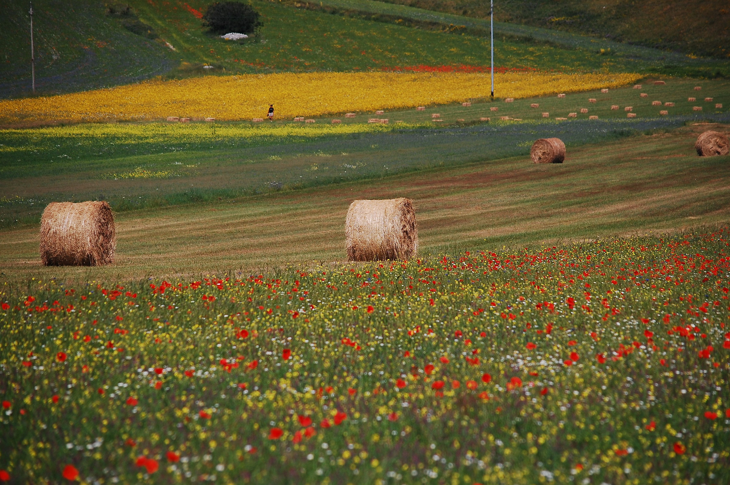 Still Castelluccio